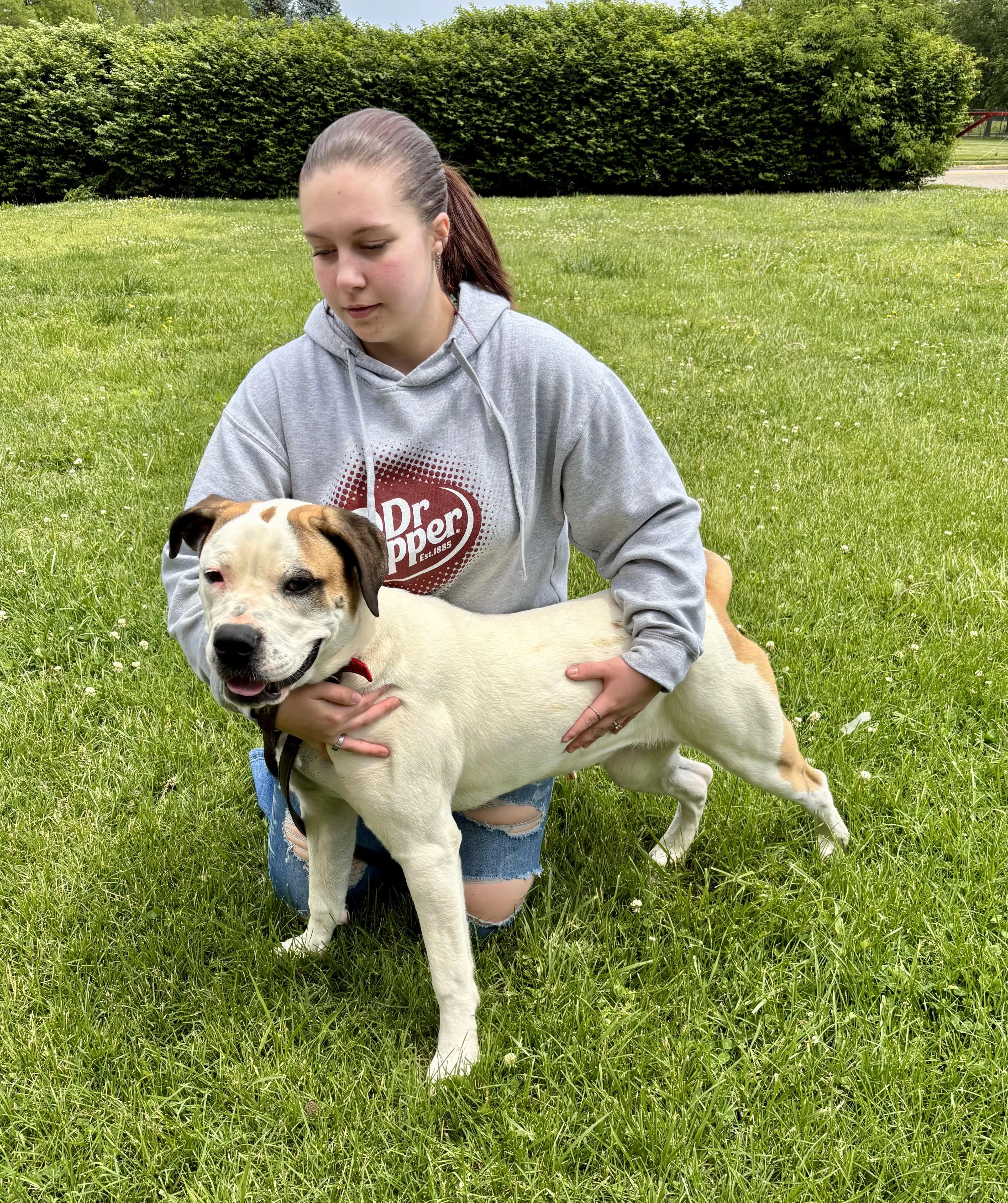 Found pet-1