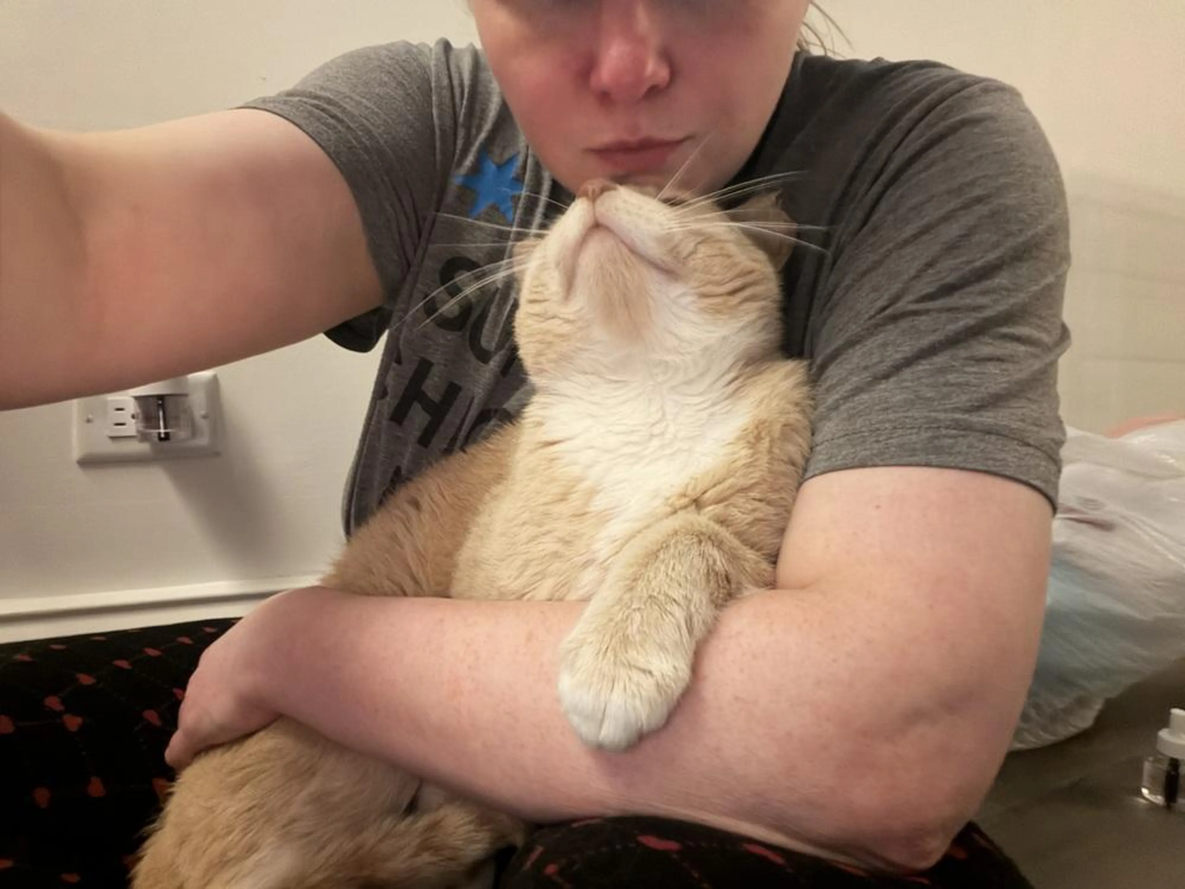 Found pet-2