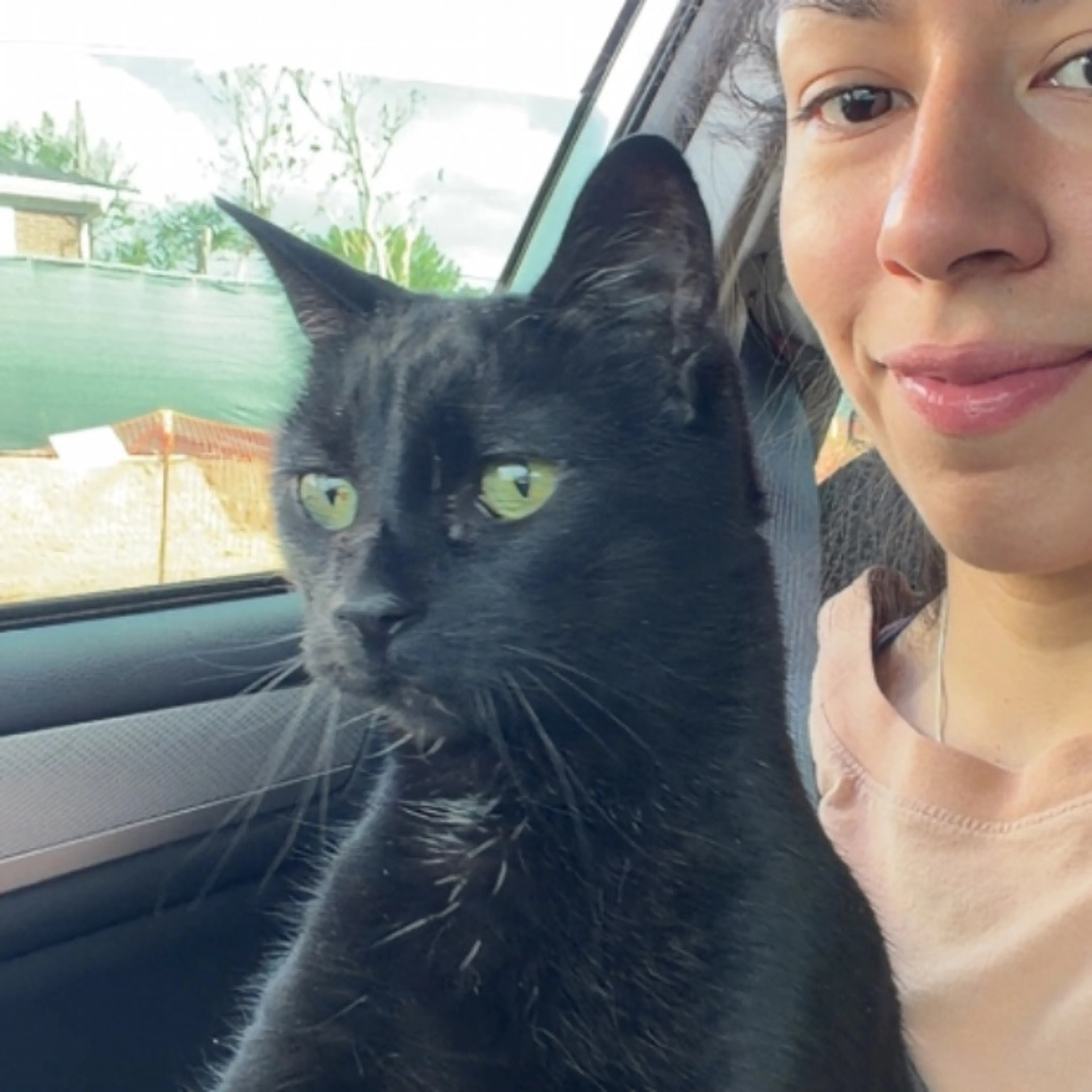 Lost pet