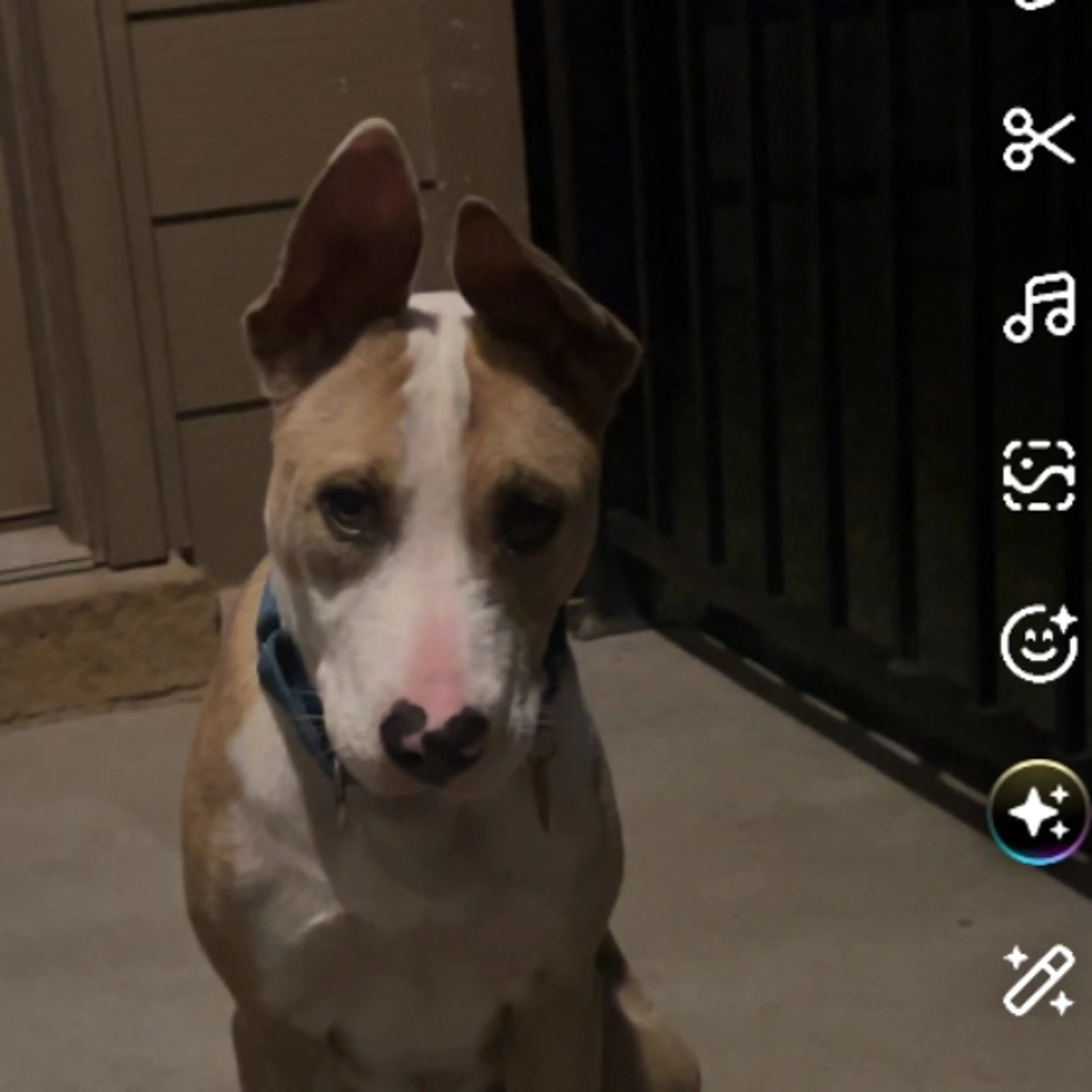 cdn image