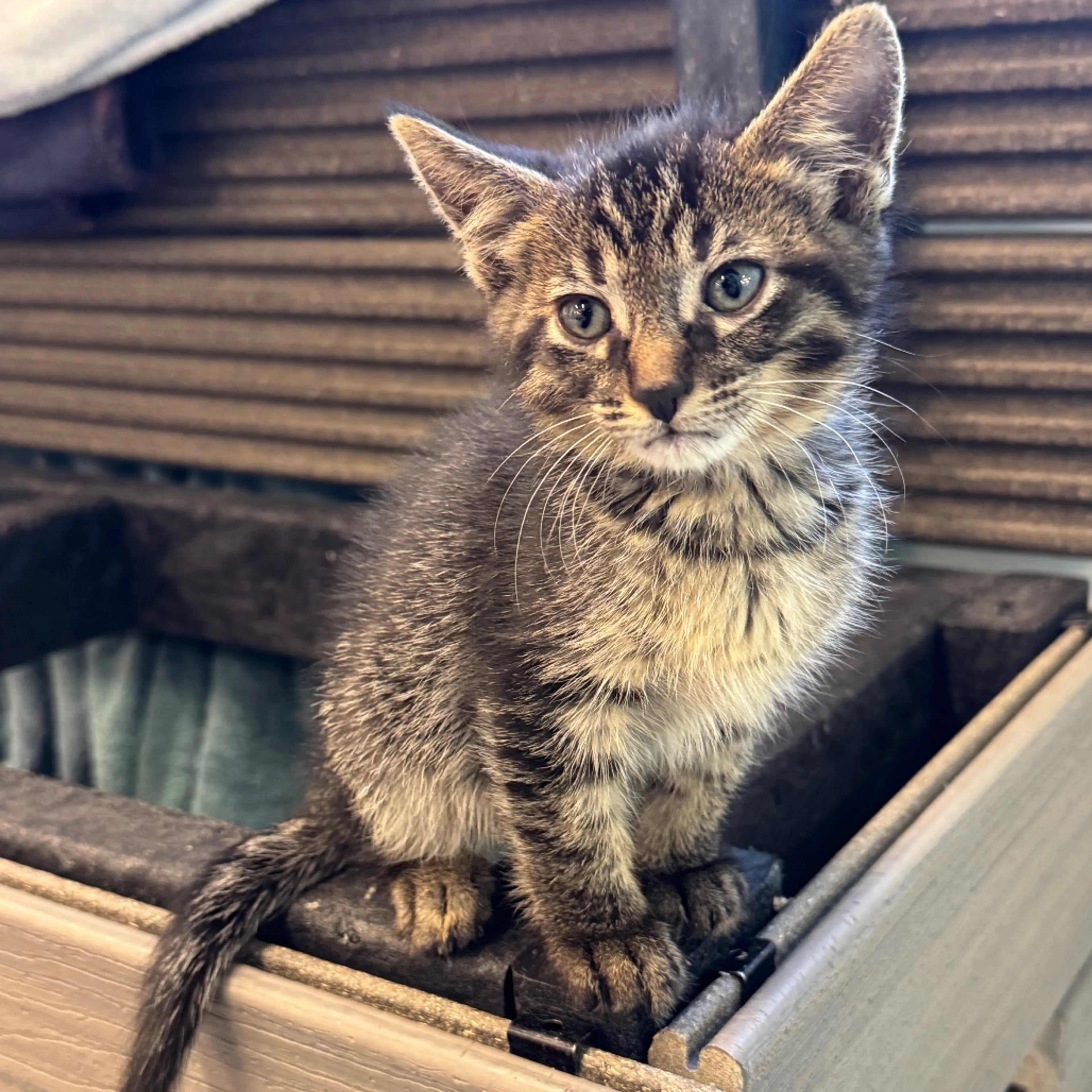 -7