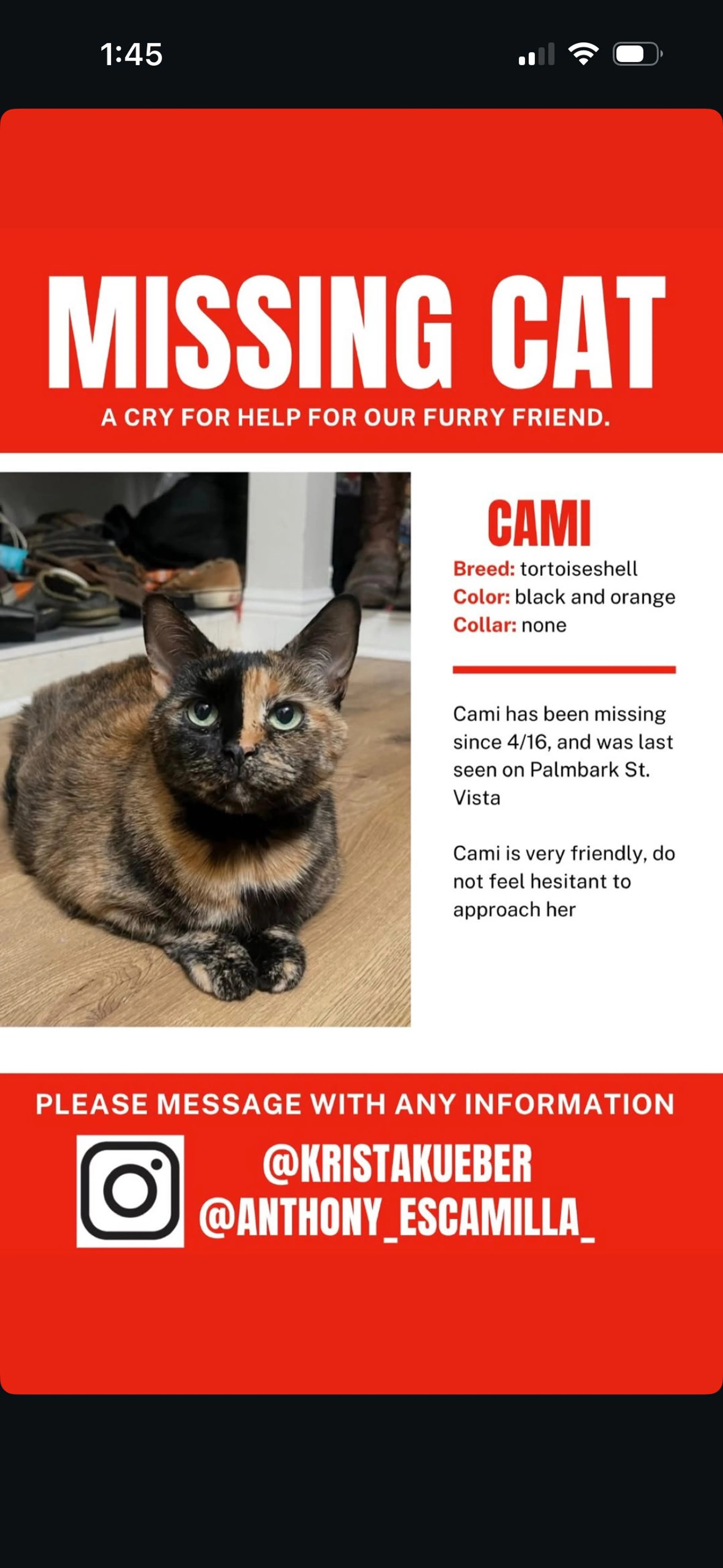 Lost pet