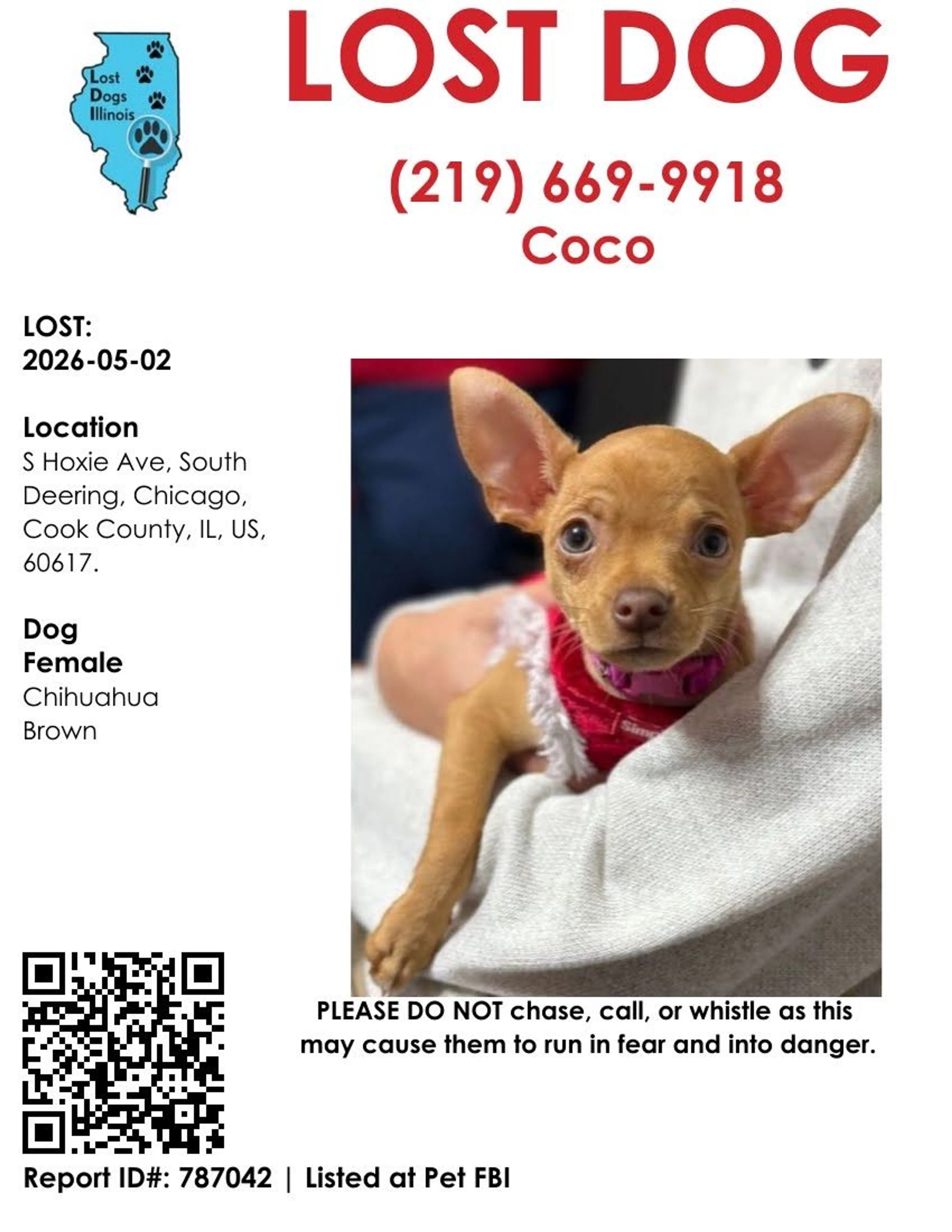 Lost pet
