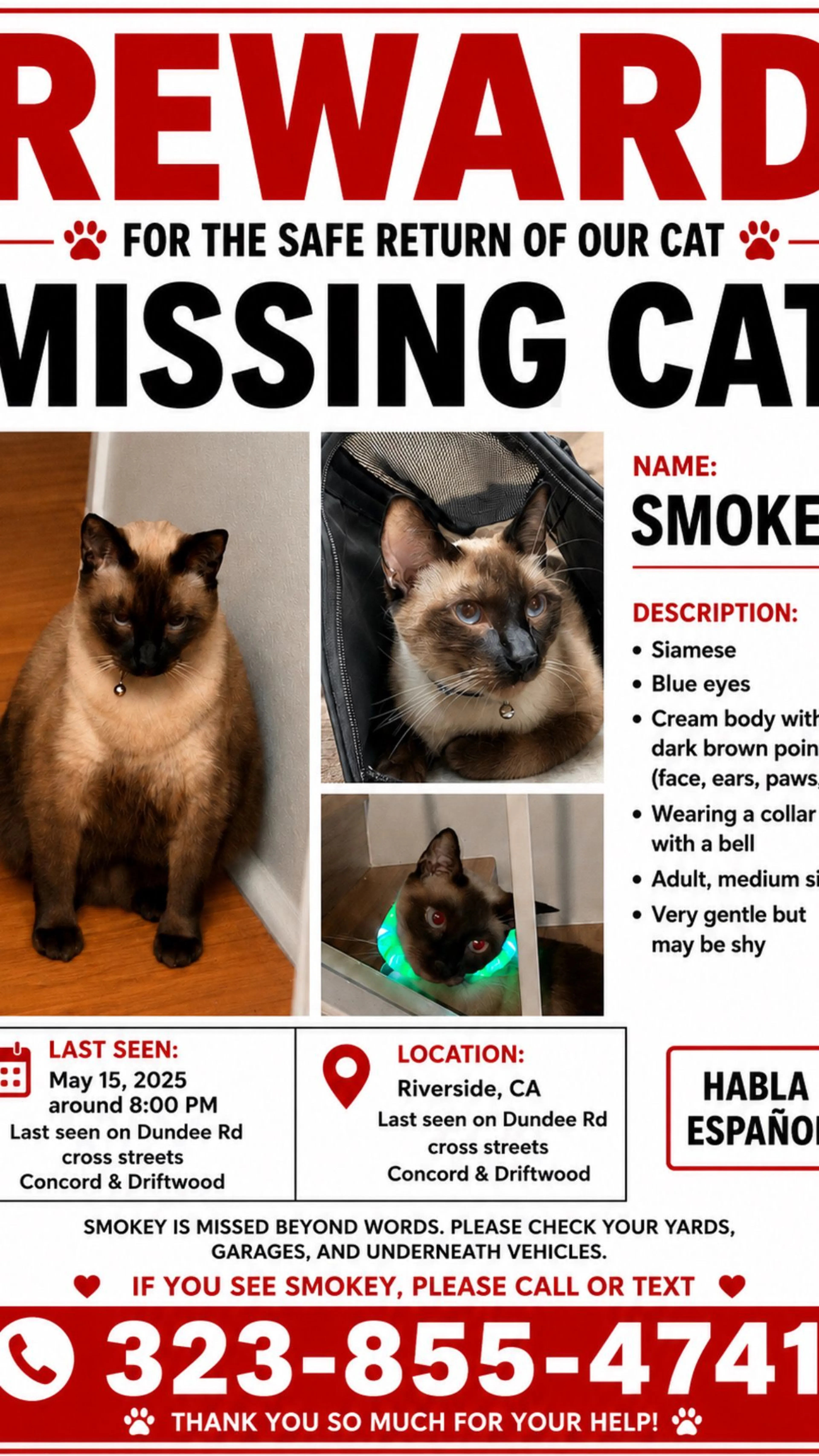 cdn image