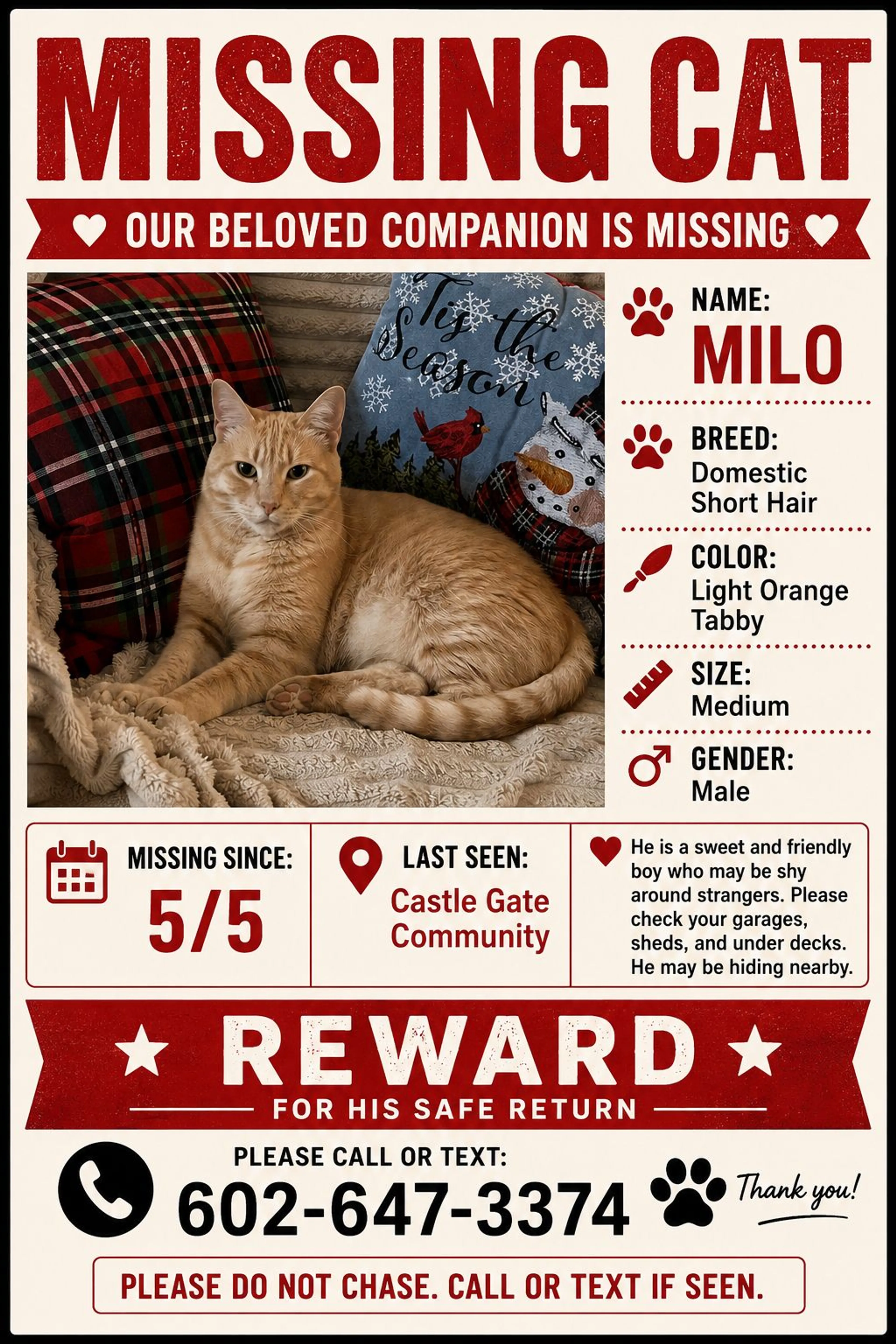 Lost pet-0