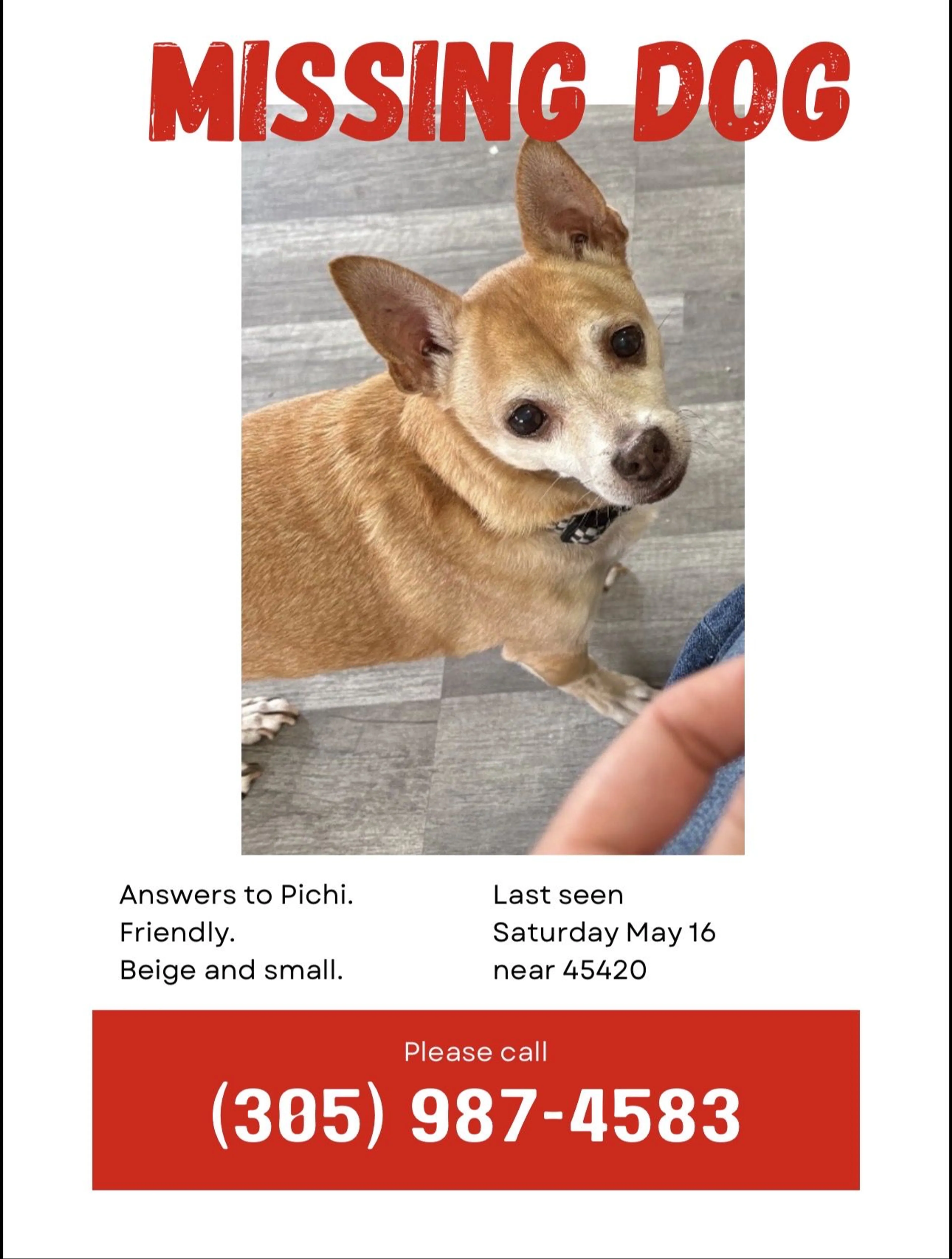 Lost pet-0
