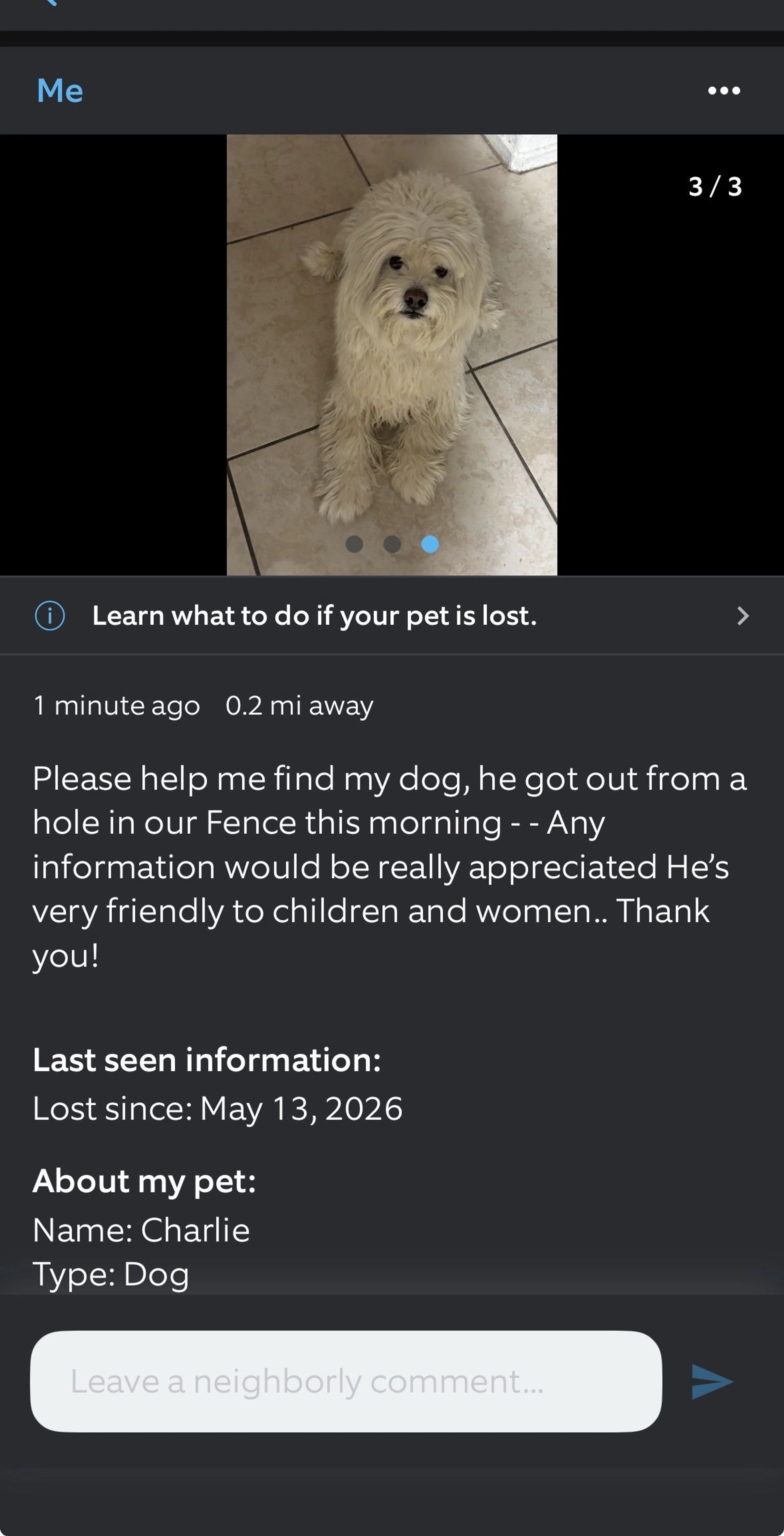 Lost pet-2