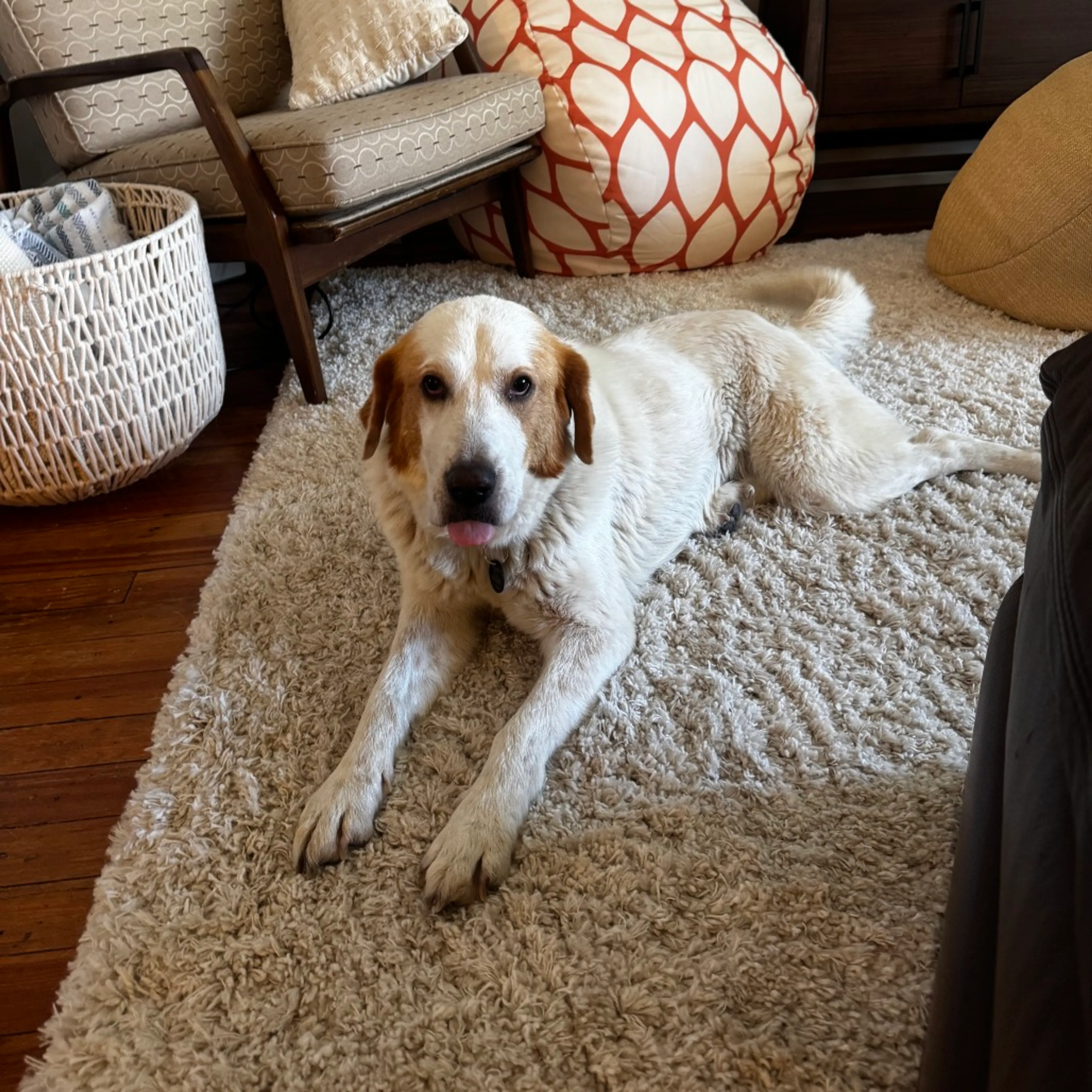 -6