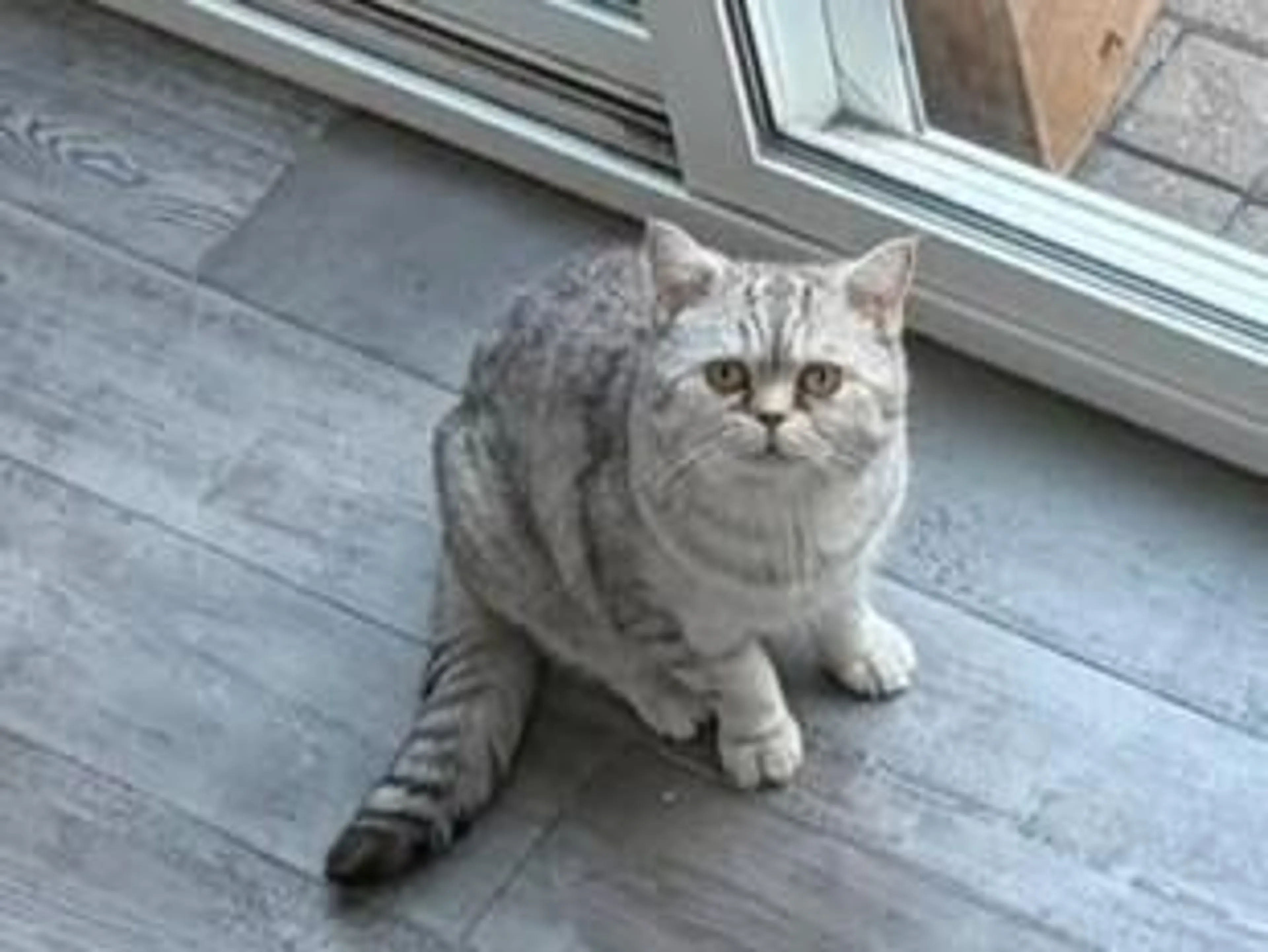 -5