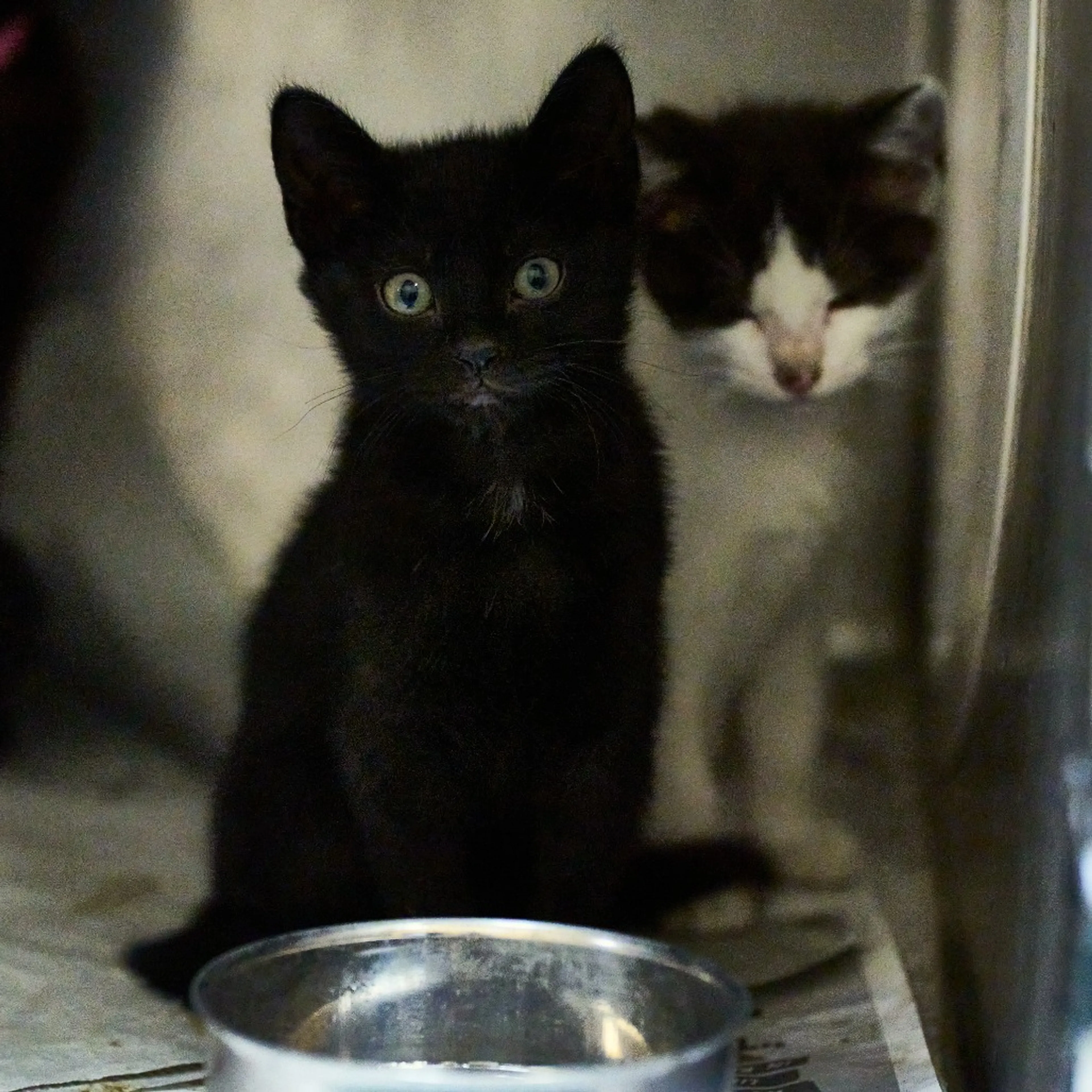 -3