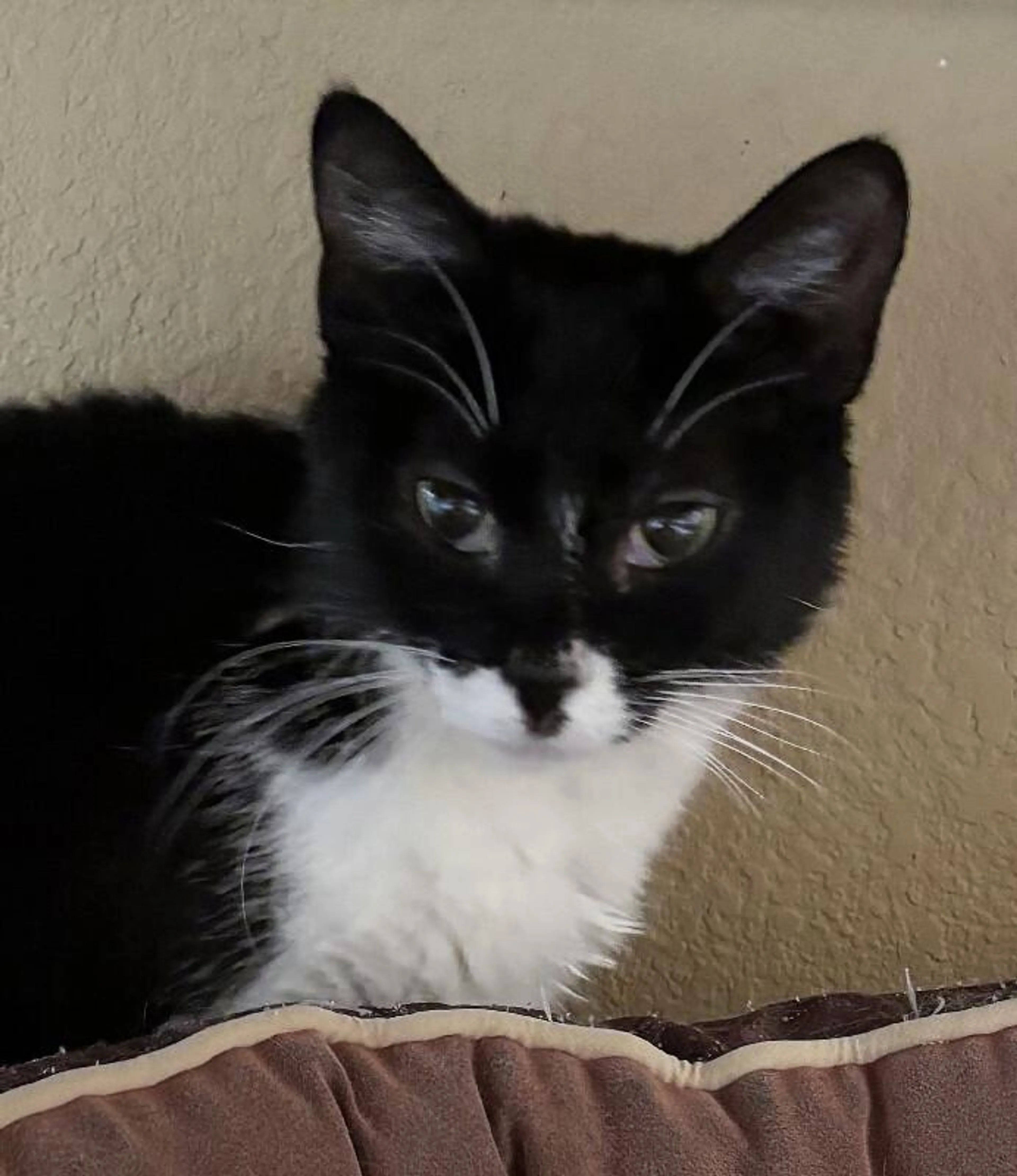 -1