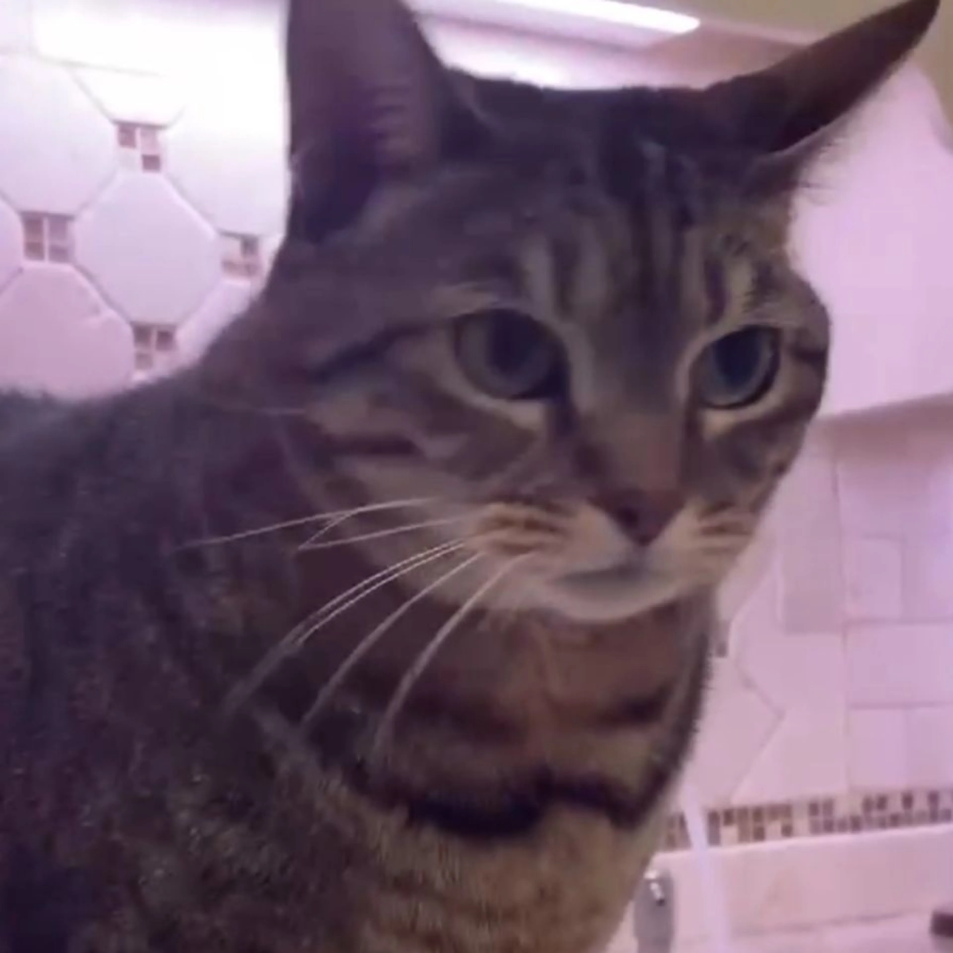 -0