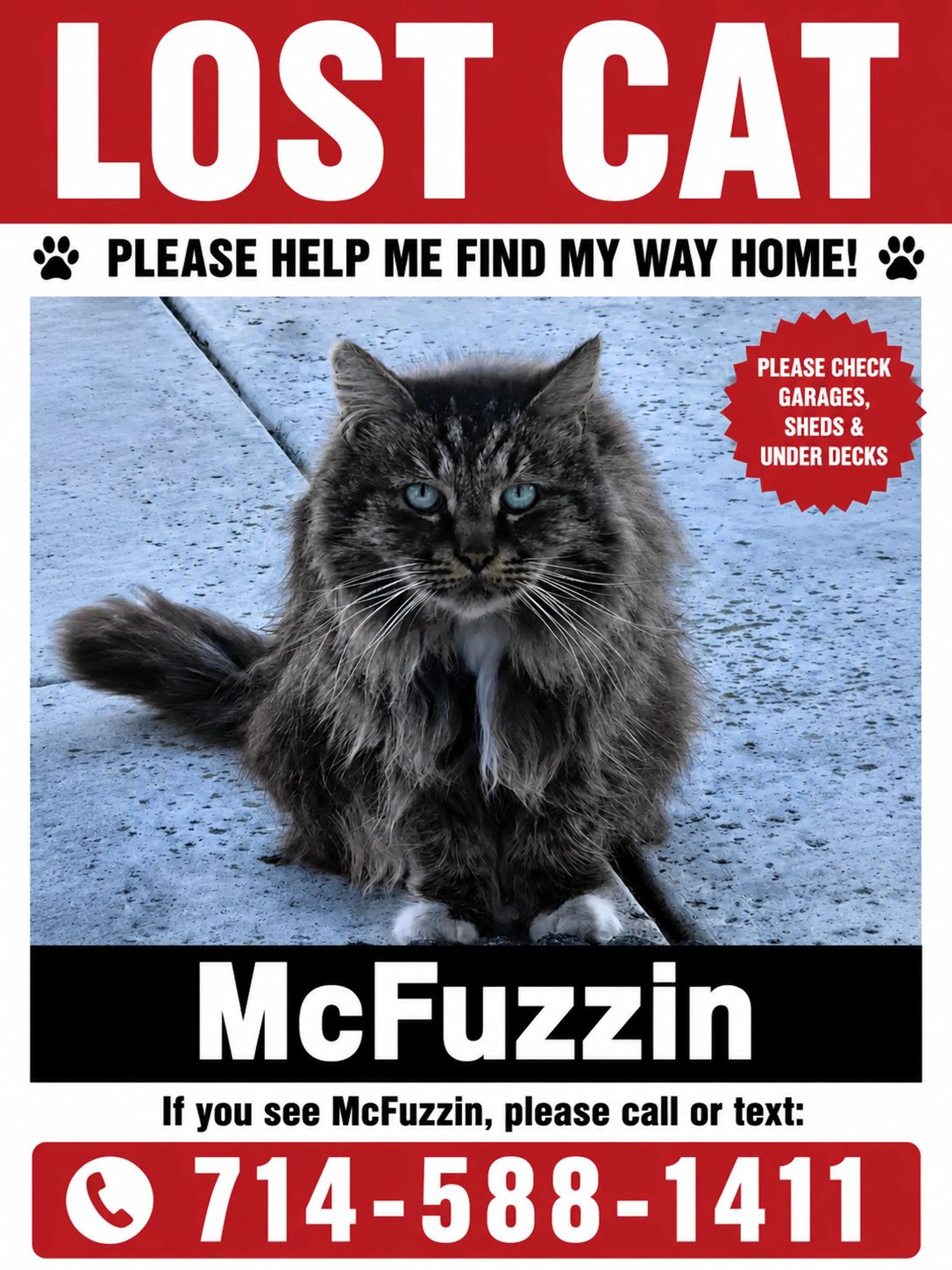 Lost pet