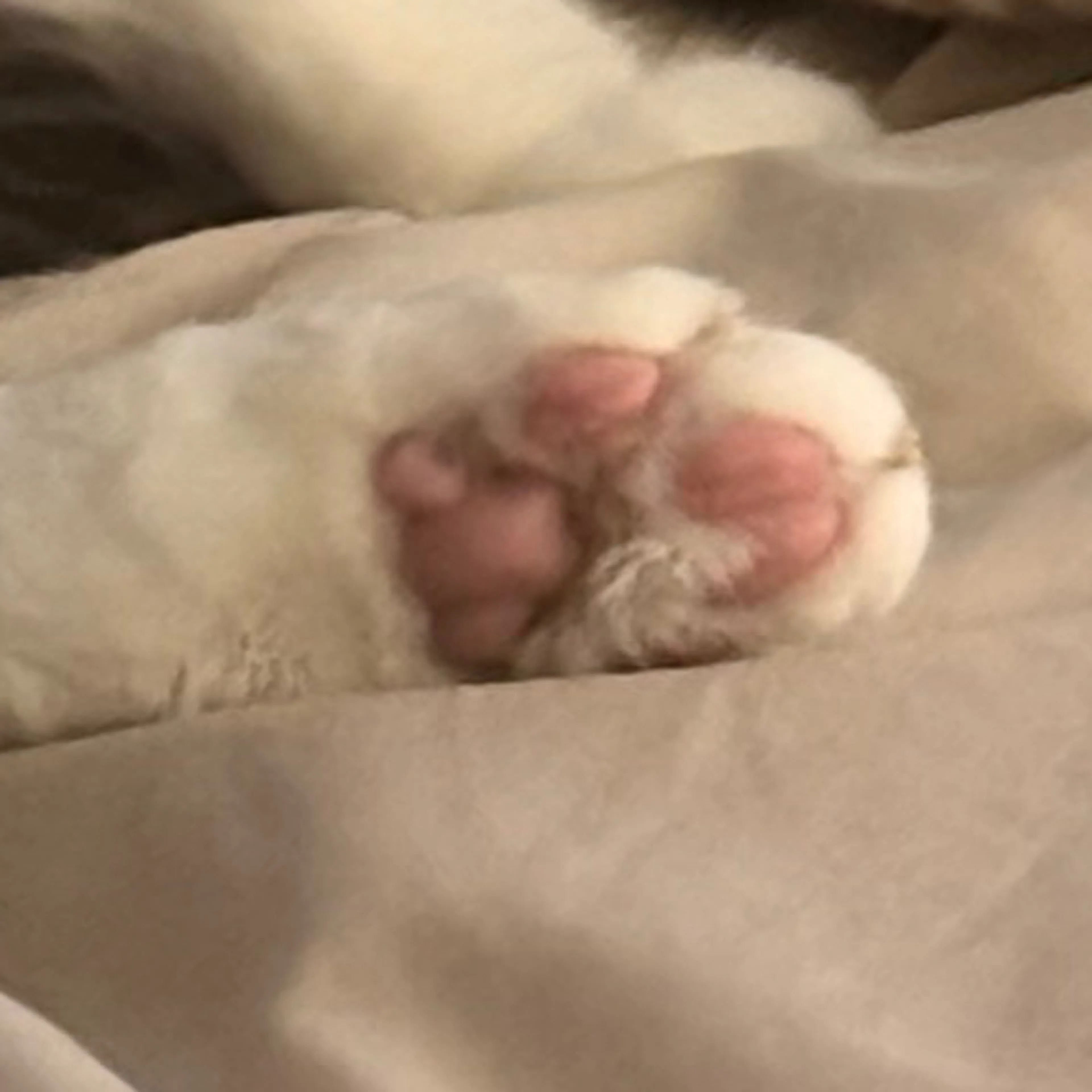 -3
