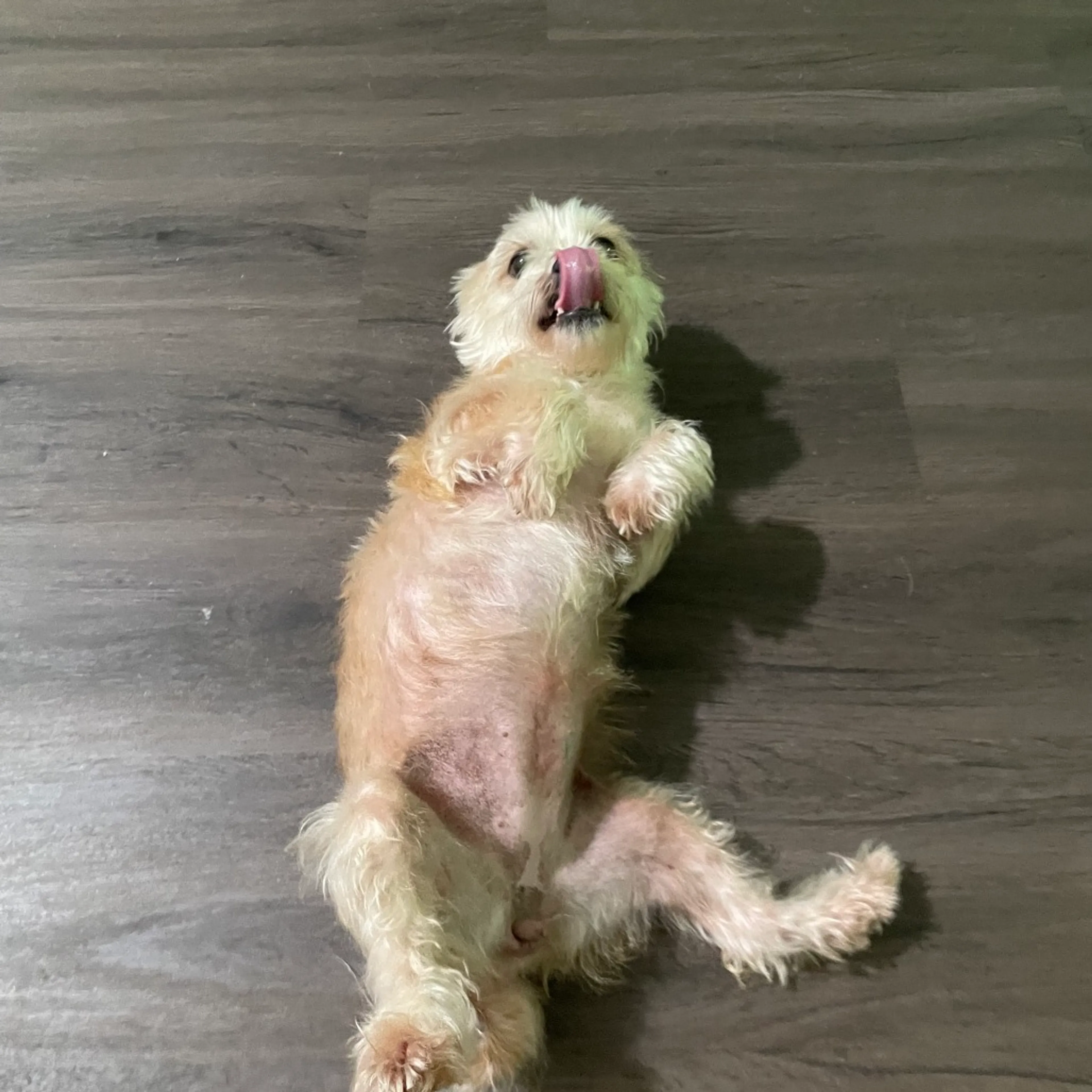 -10
