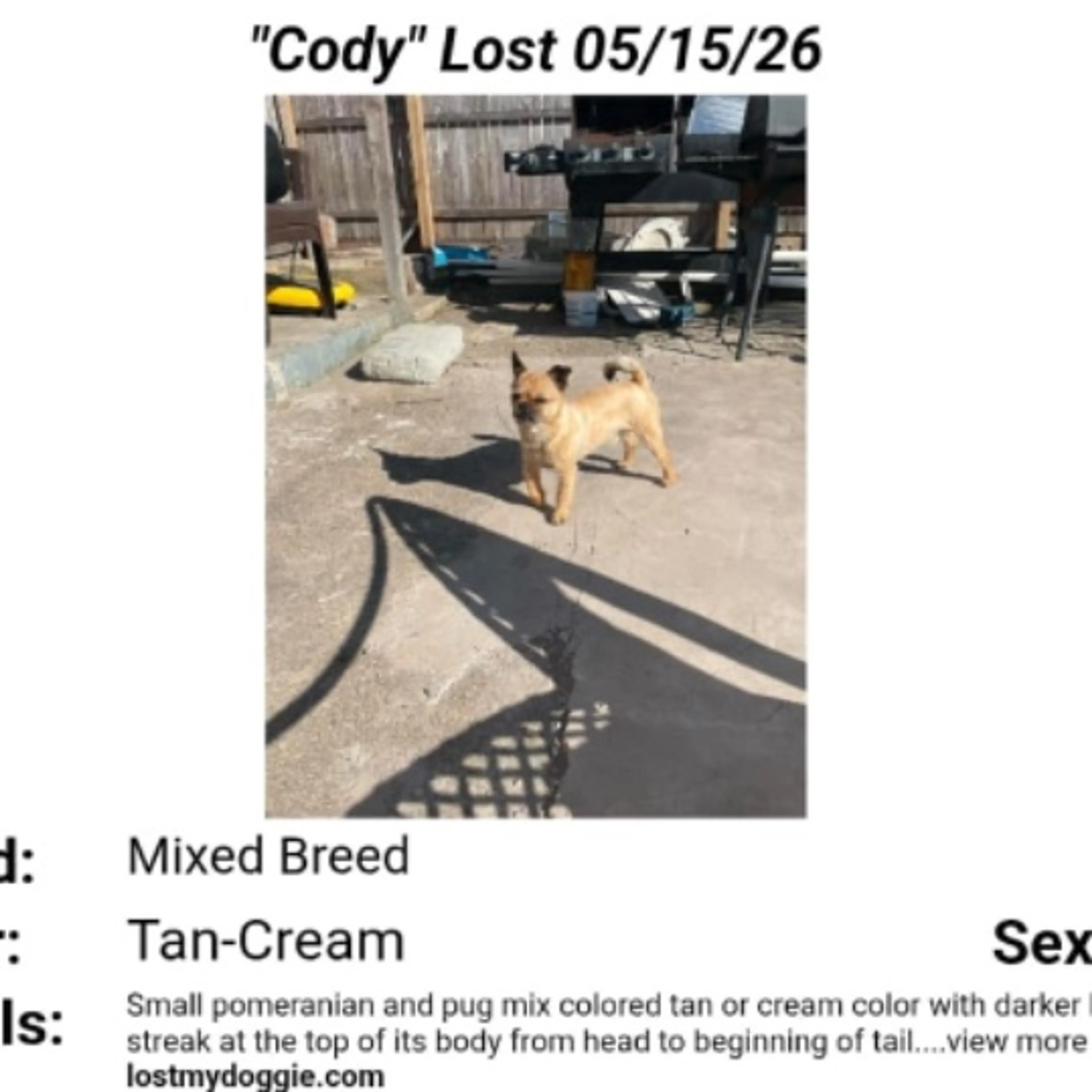cdn image