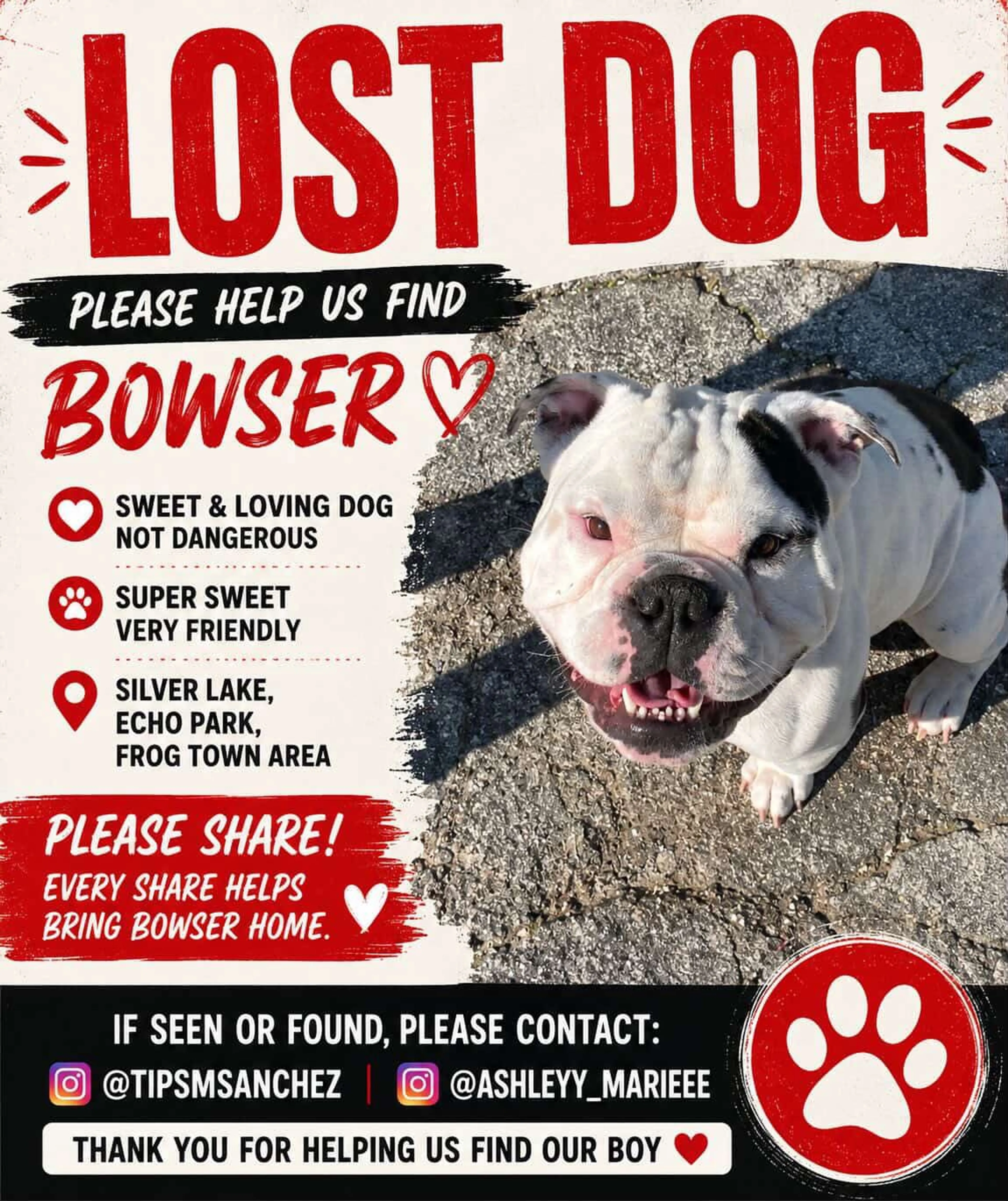 Lost pet