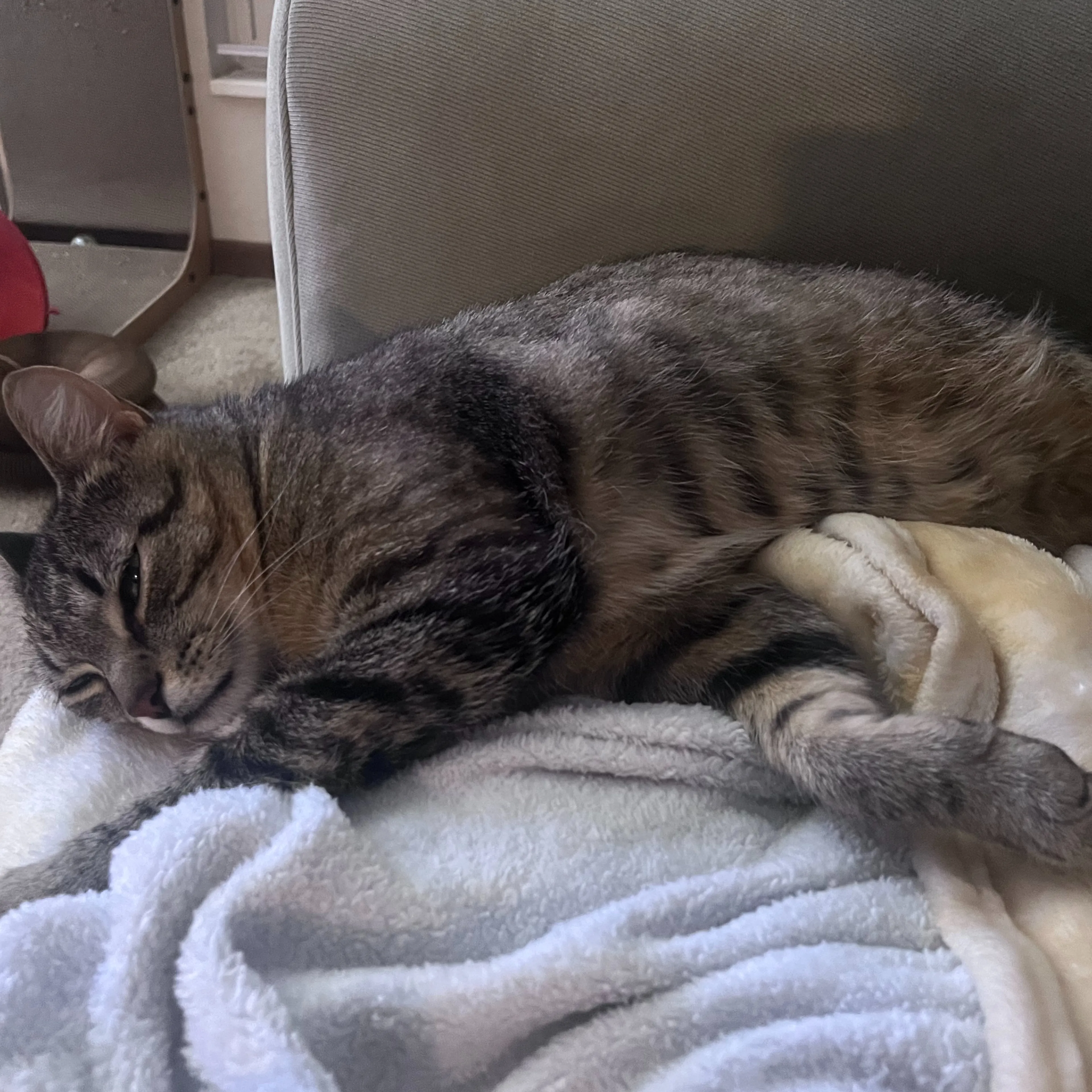 -3