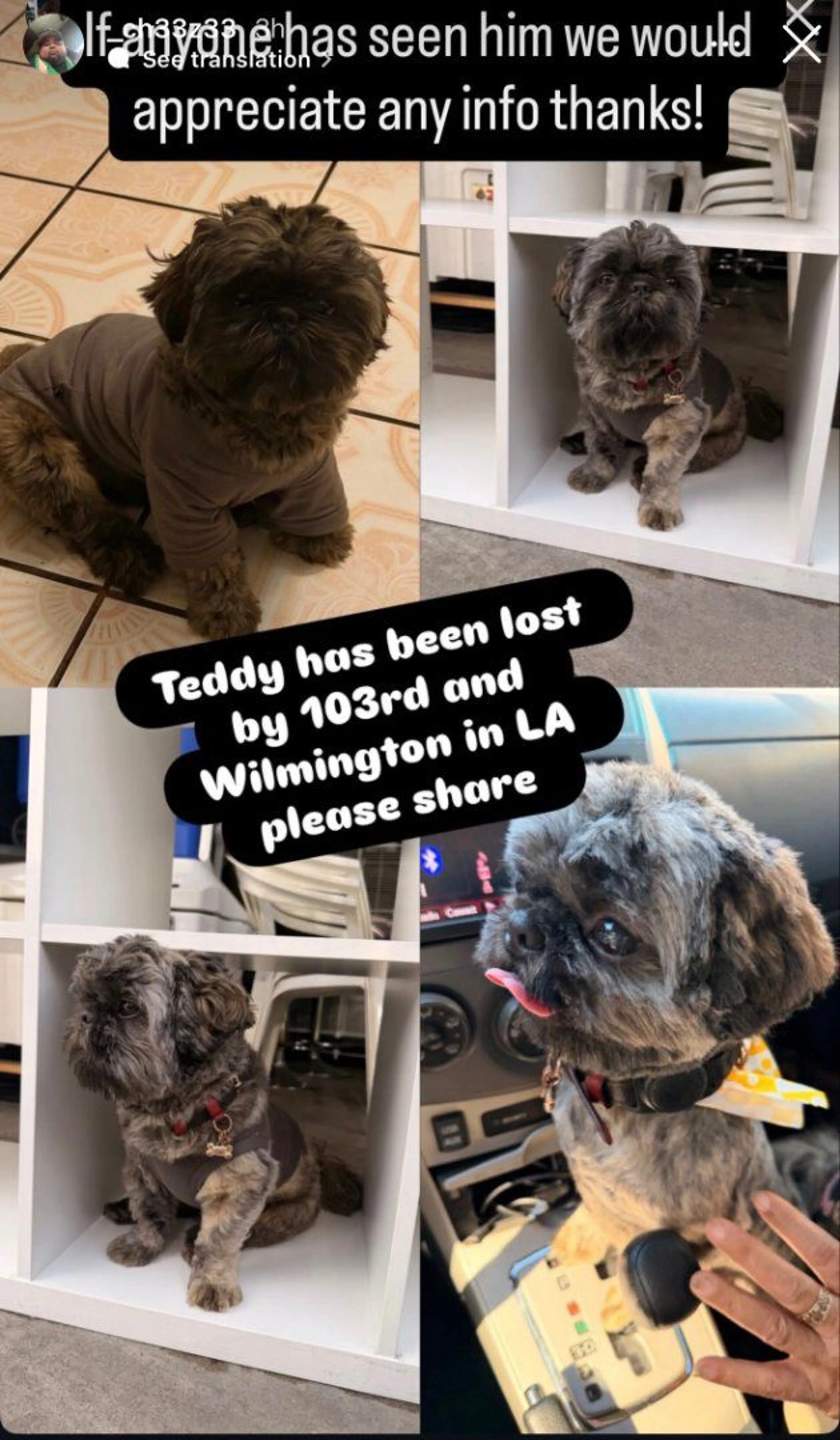 cdn image