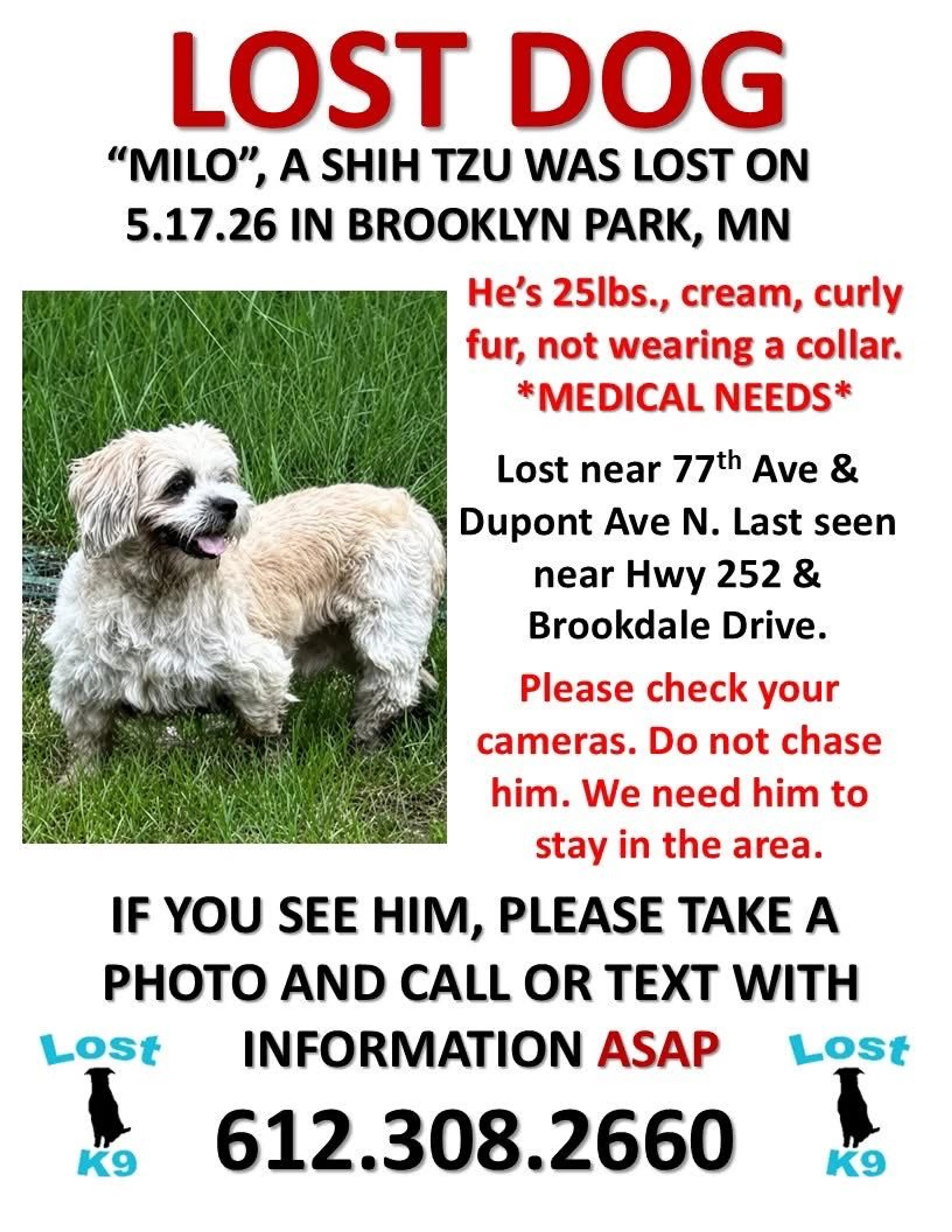 Lost pet
