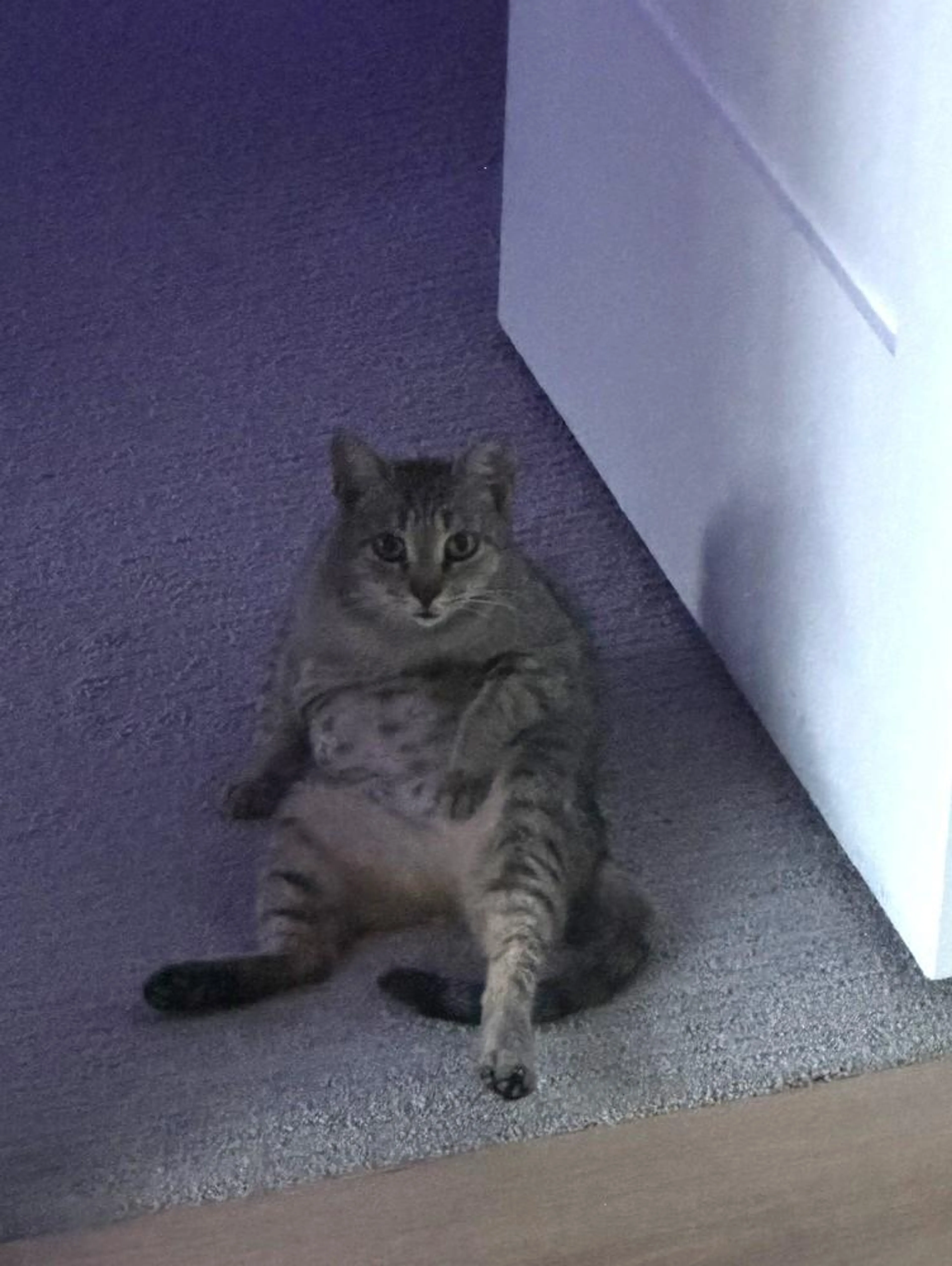 -0