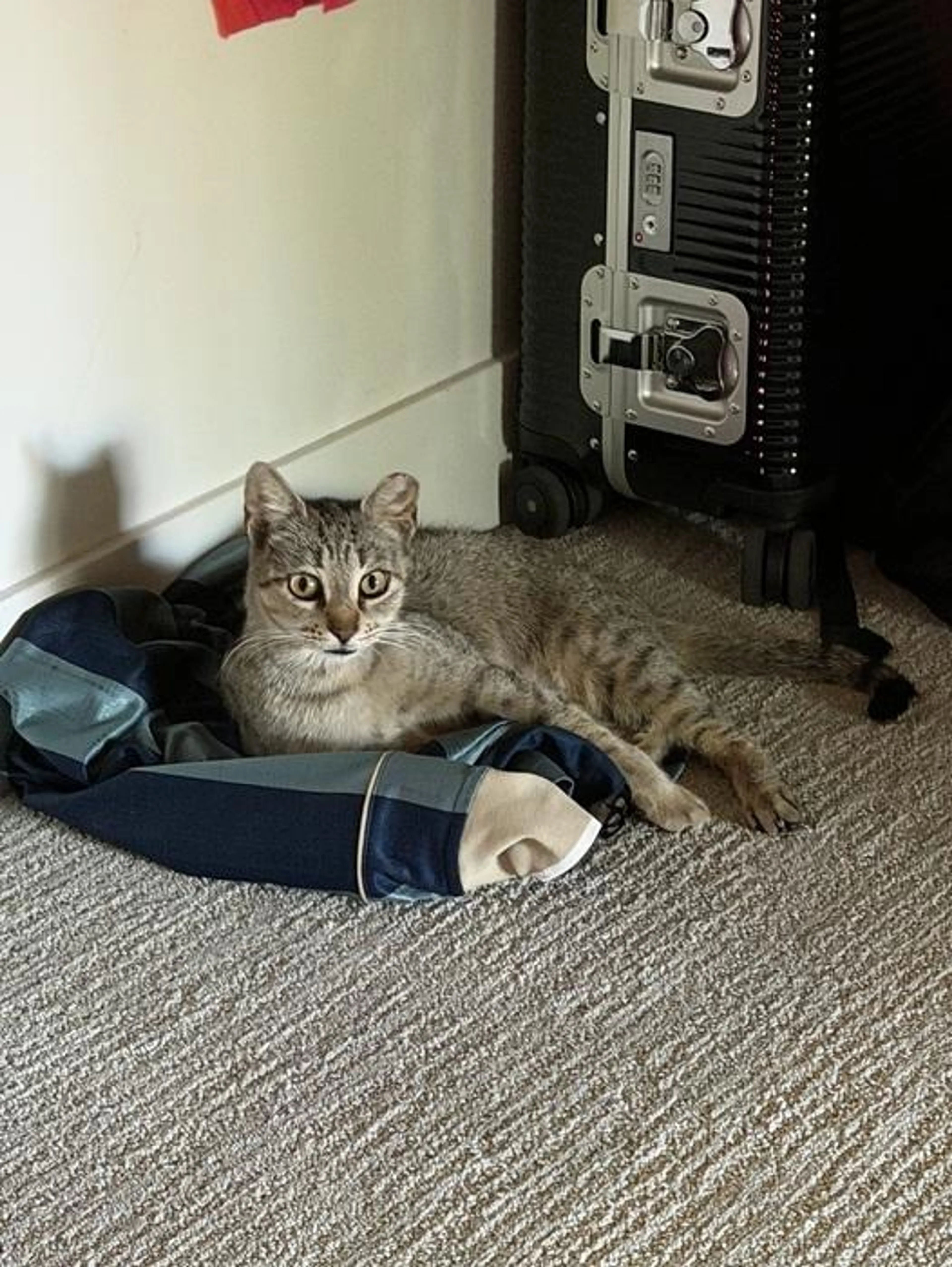-2