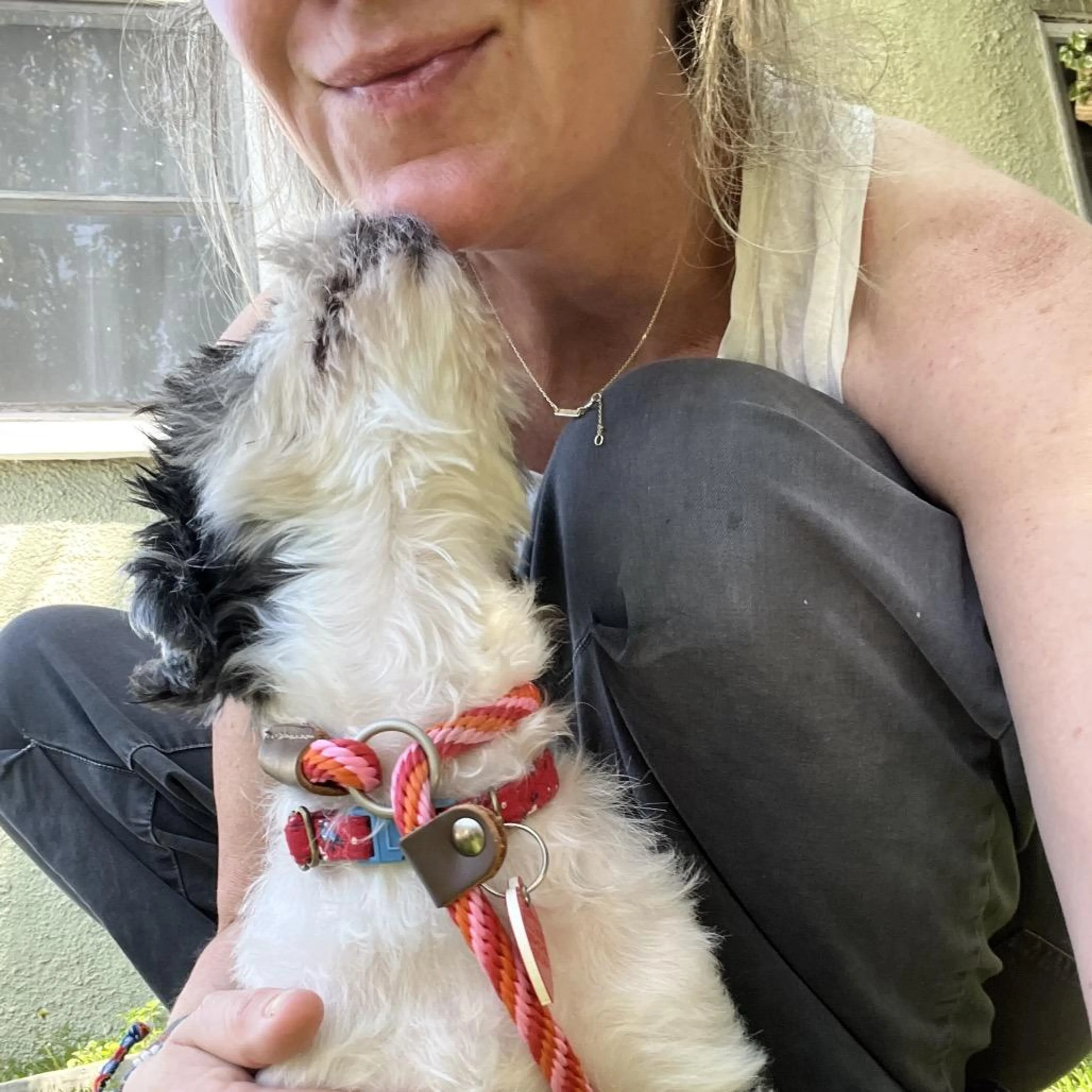 Found pet-1