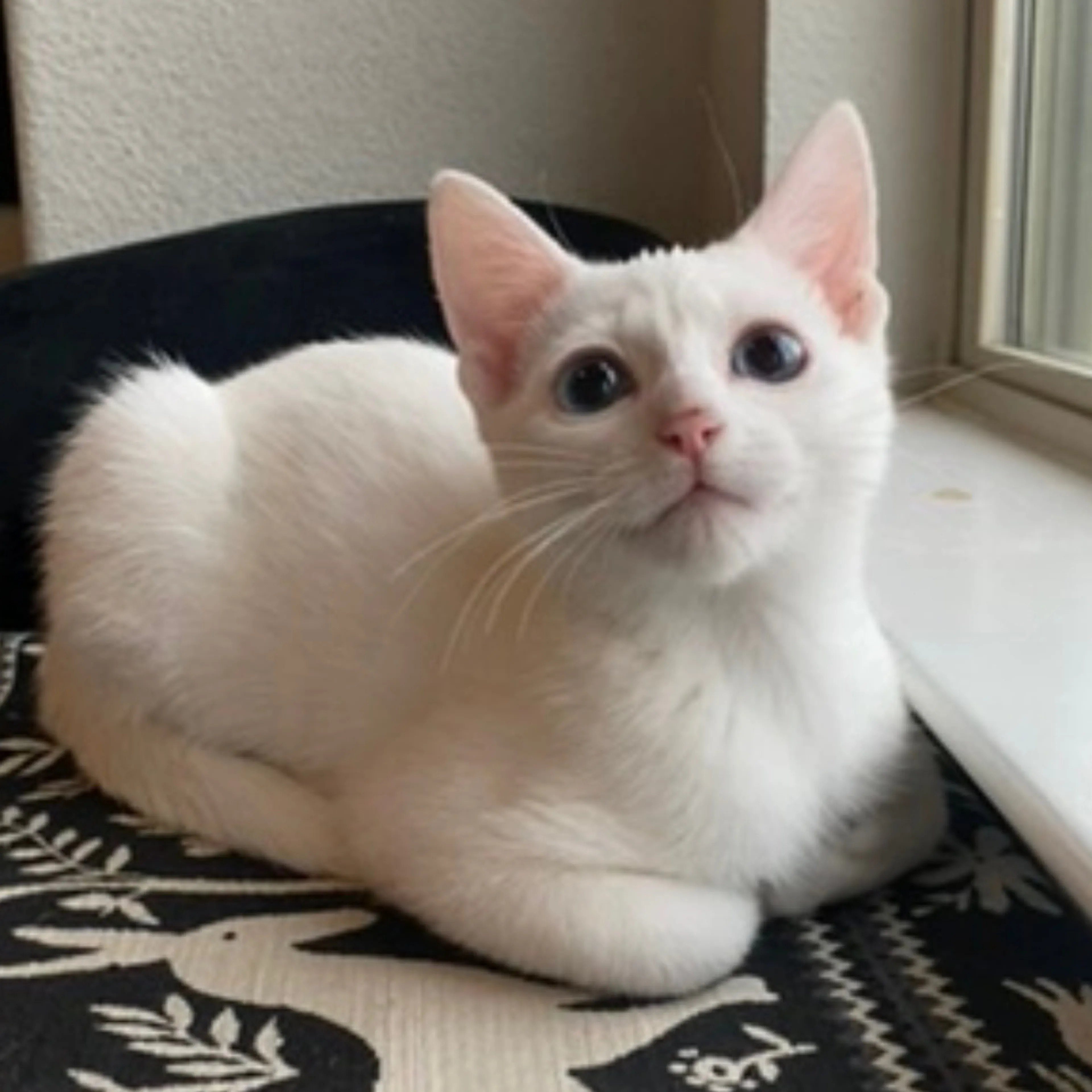 -3