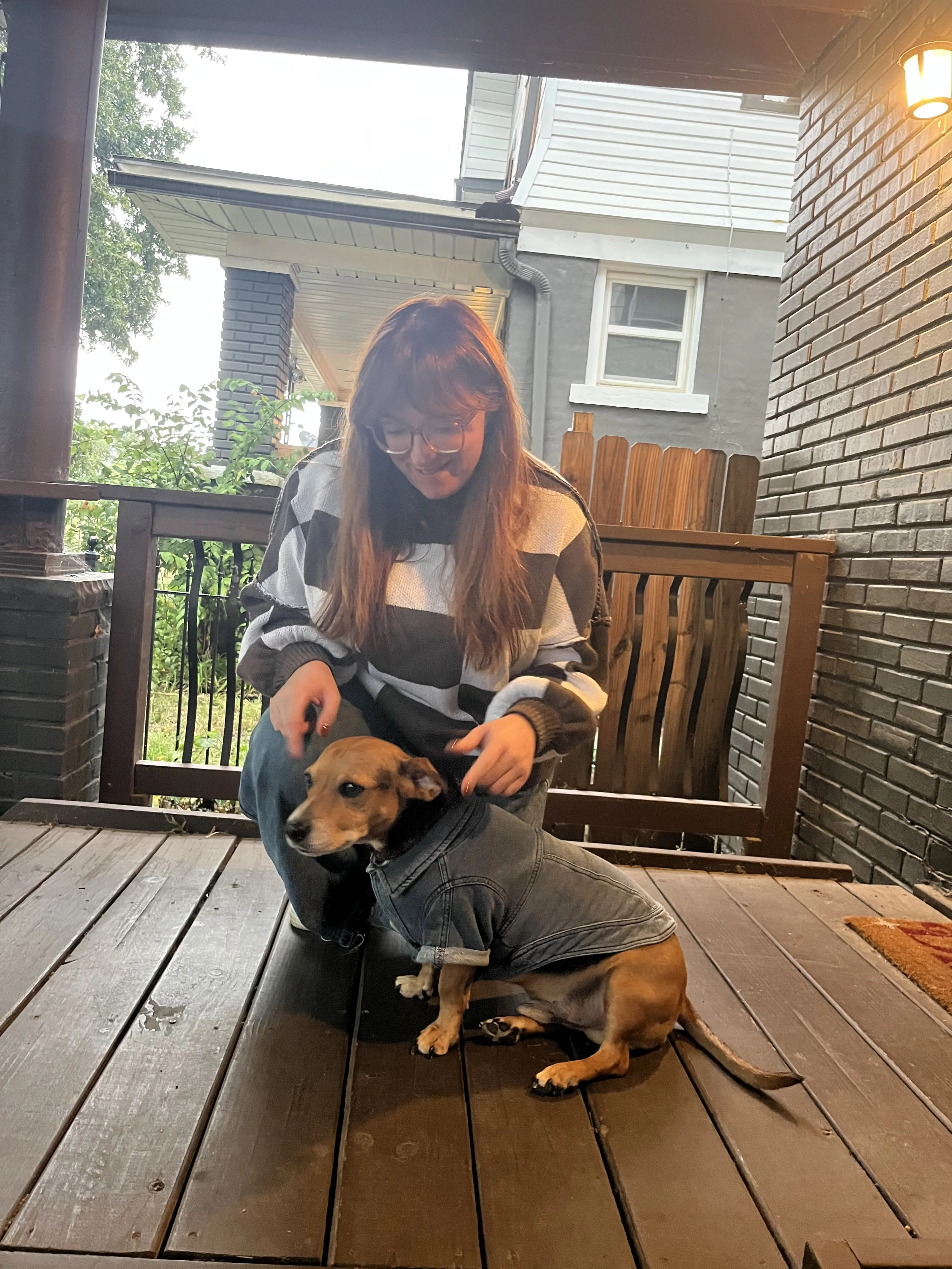 Lost pet-3