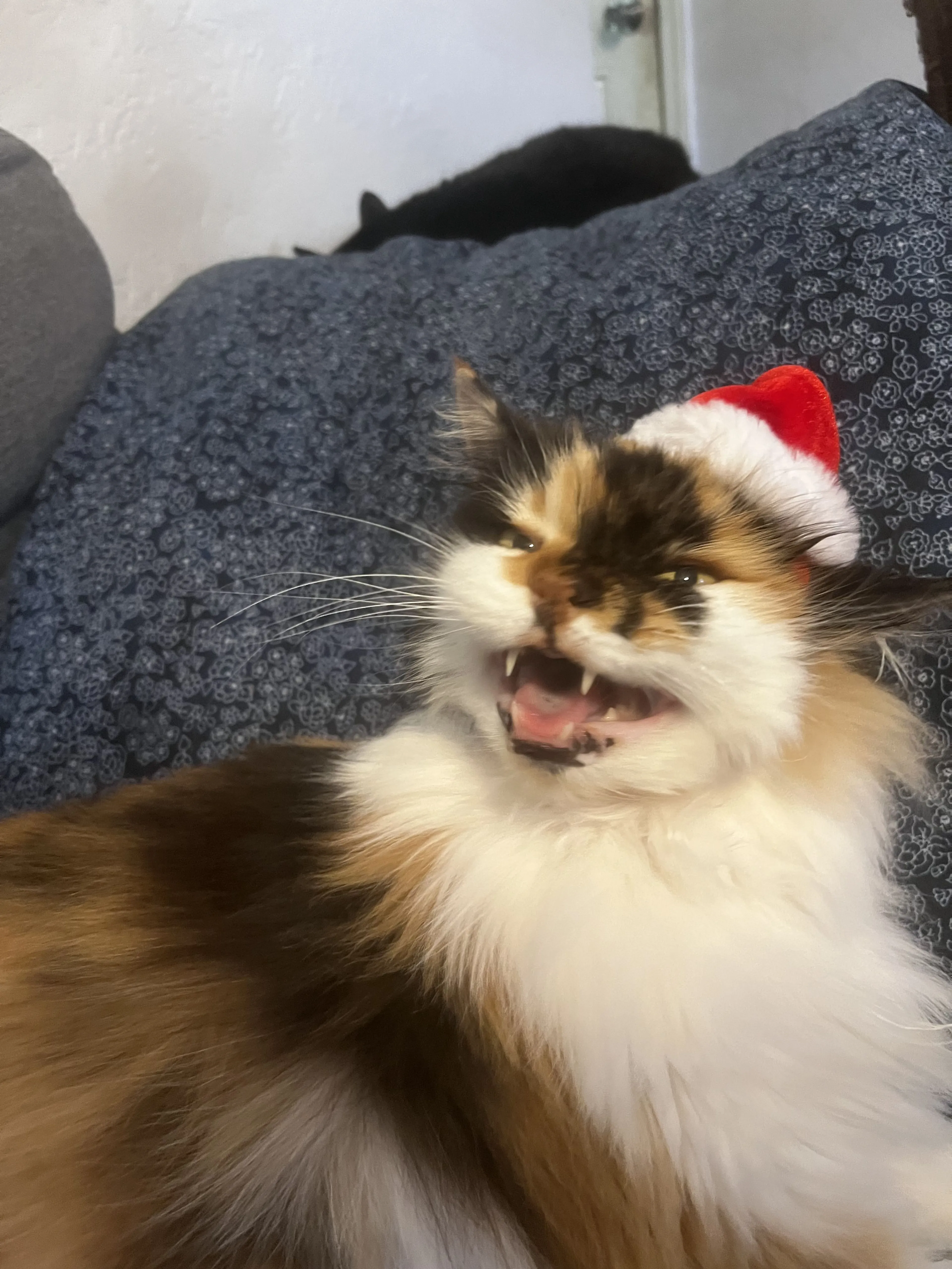 -2