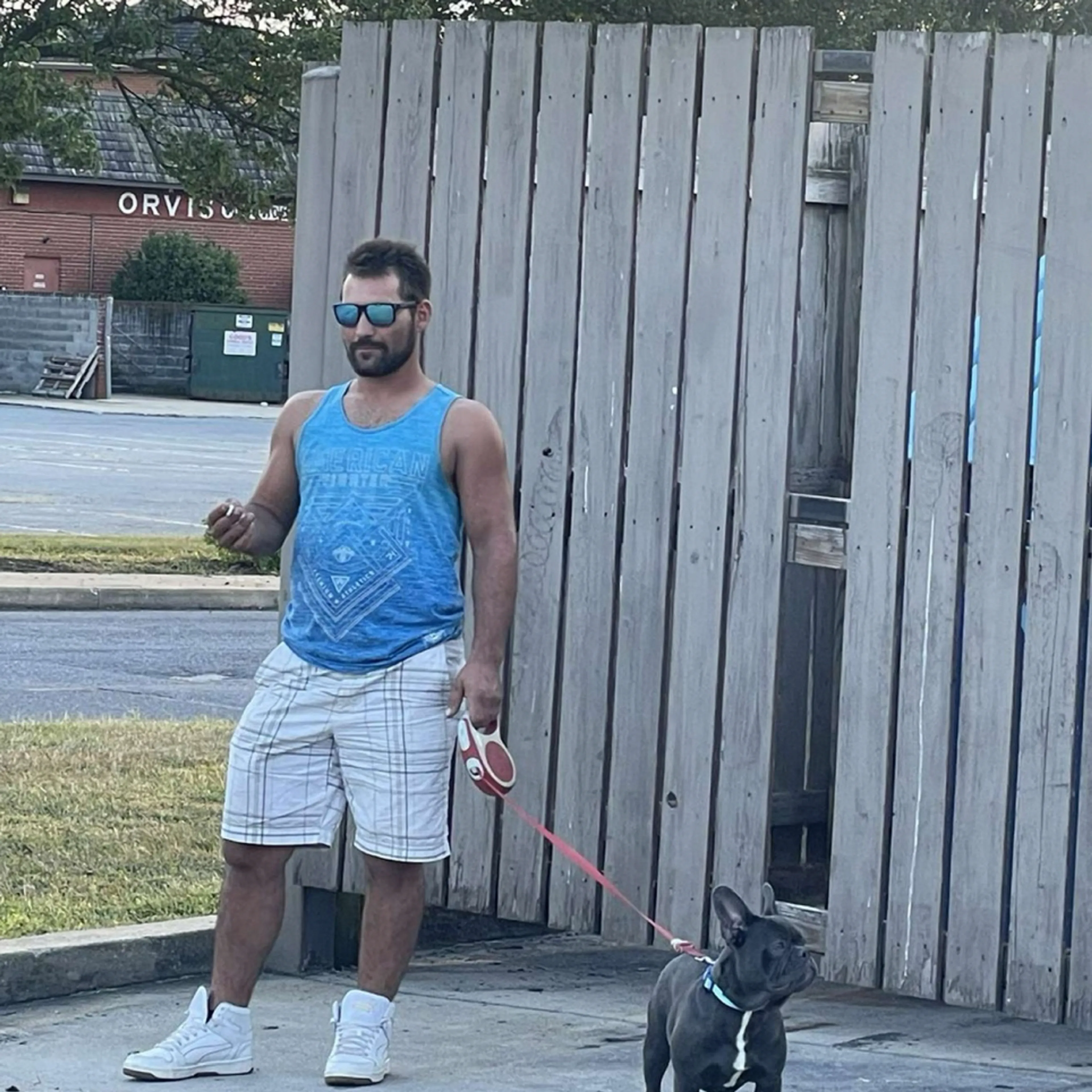 Lost pet-1