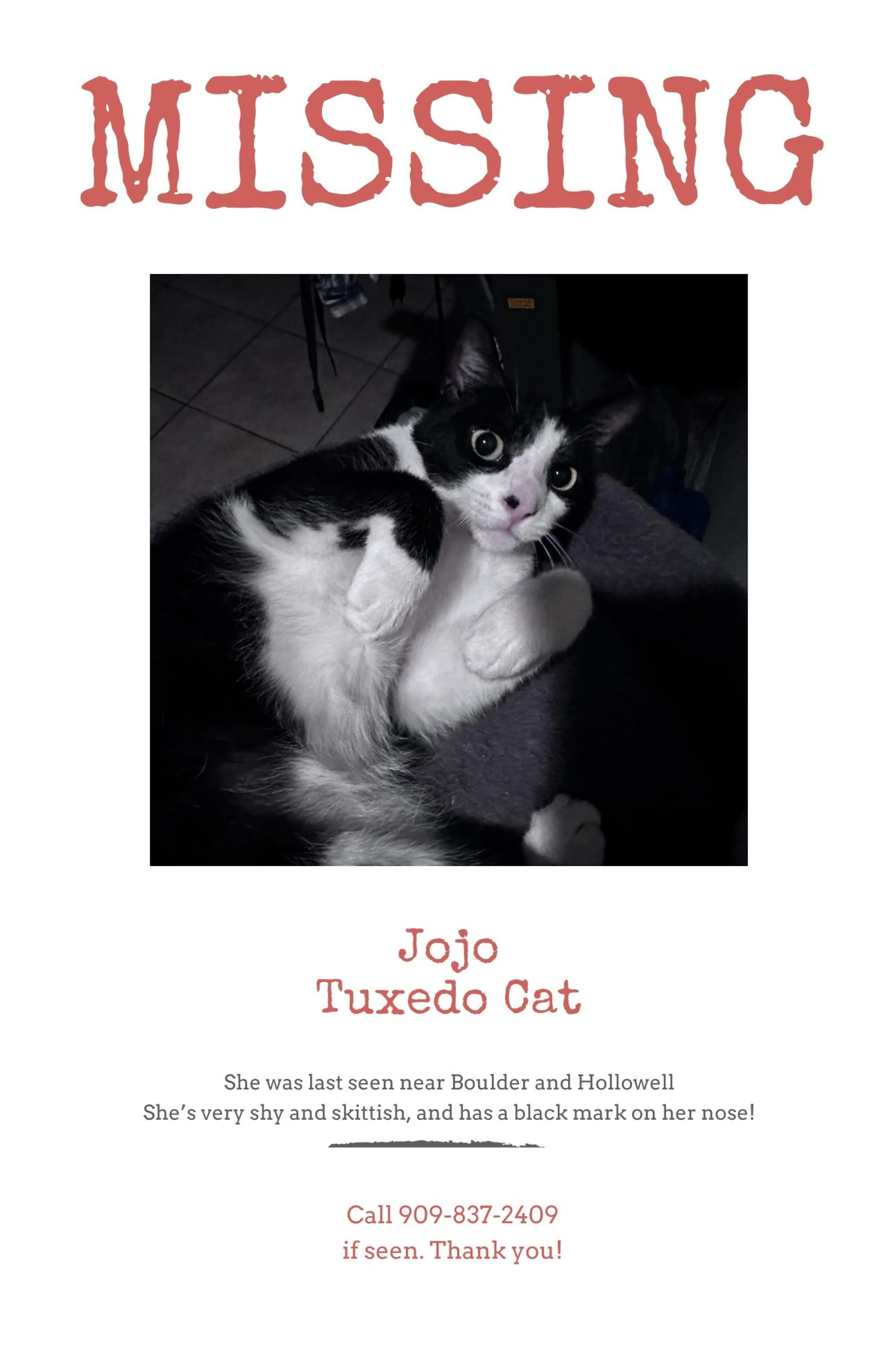 Lost pet