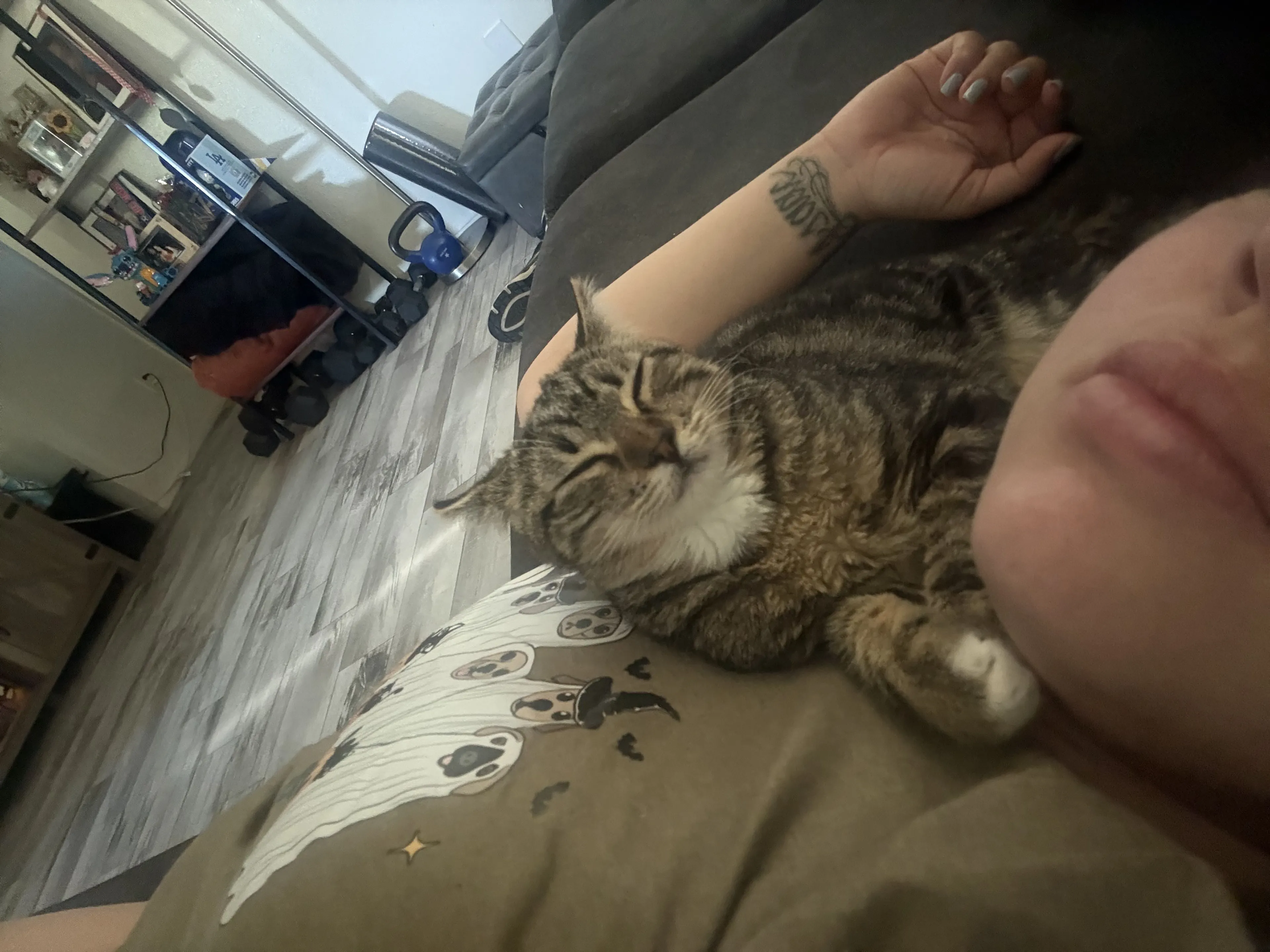 Lost pet-3