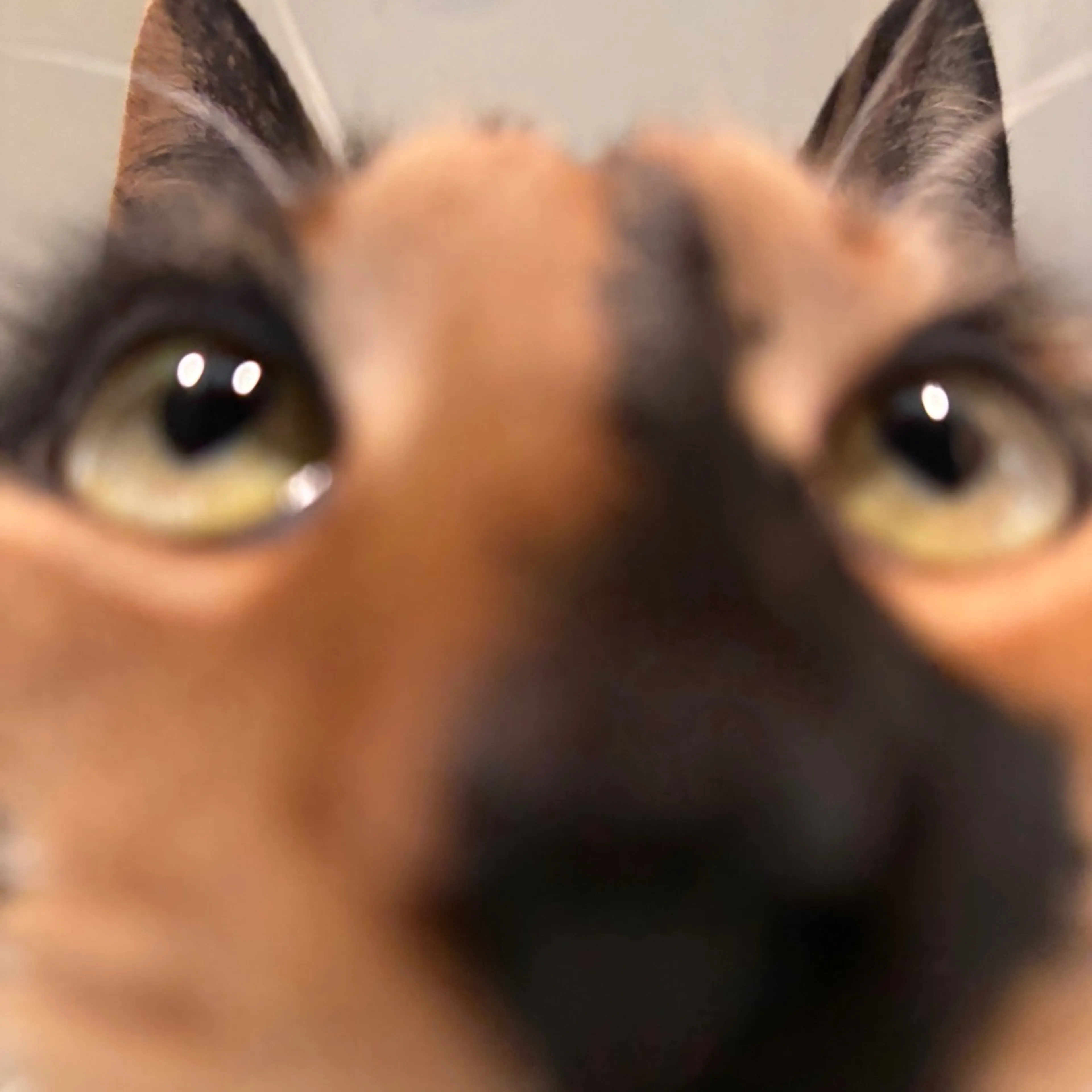 -6