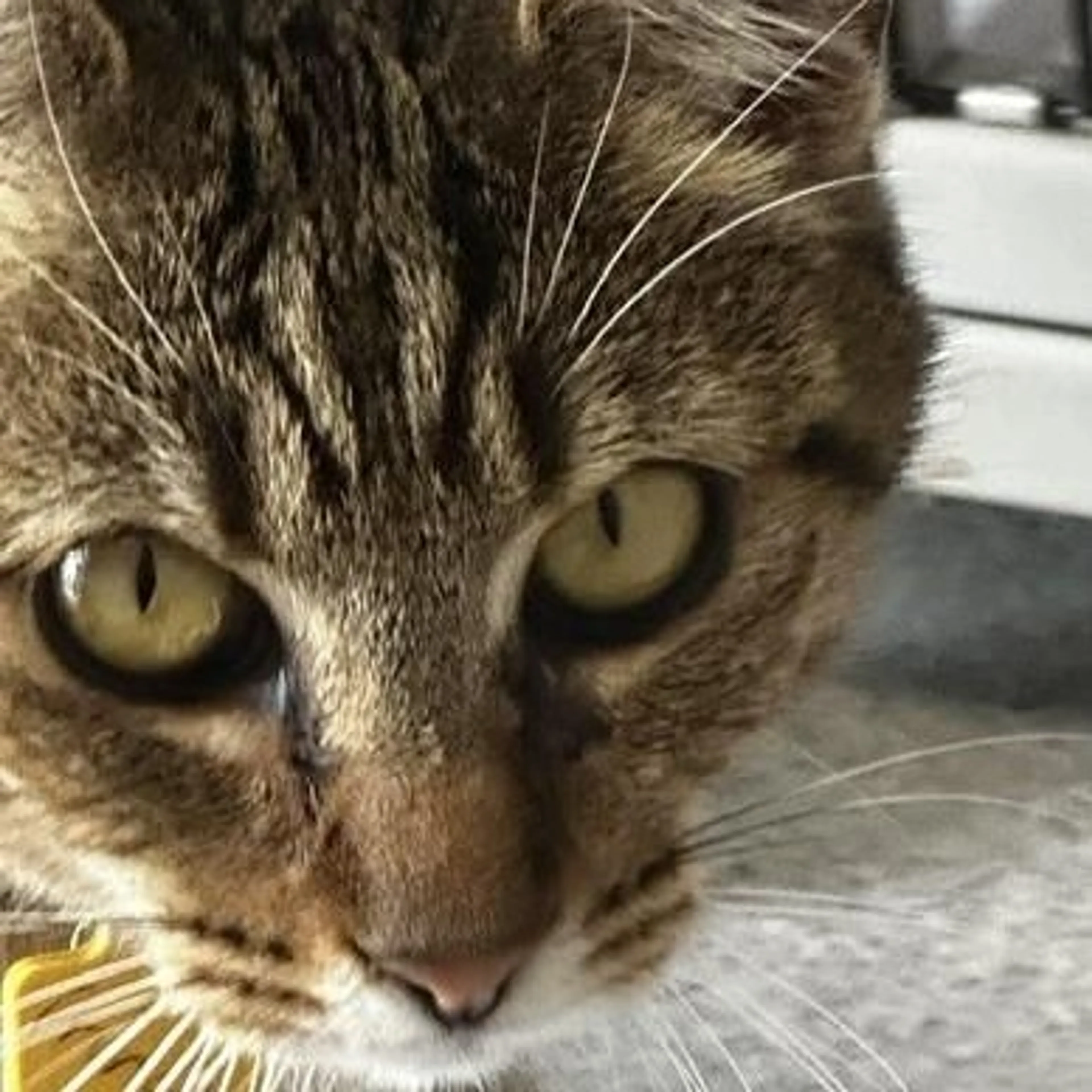 -0