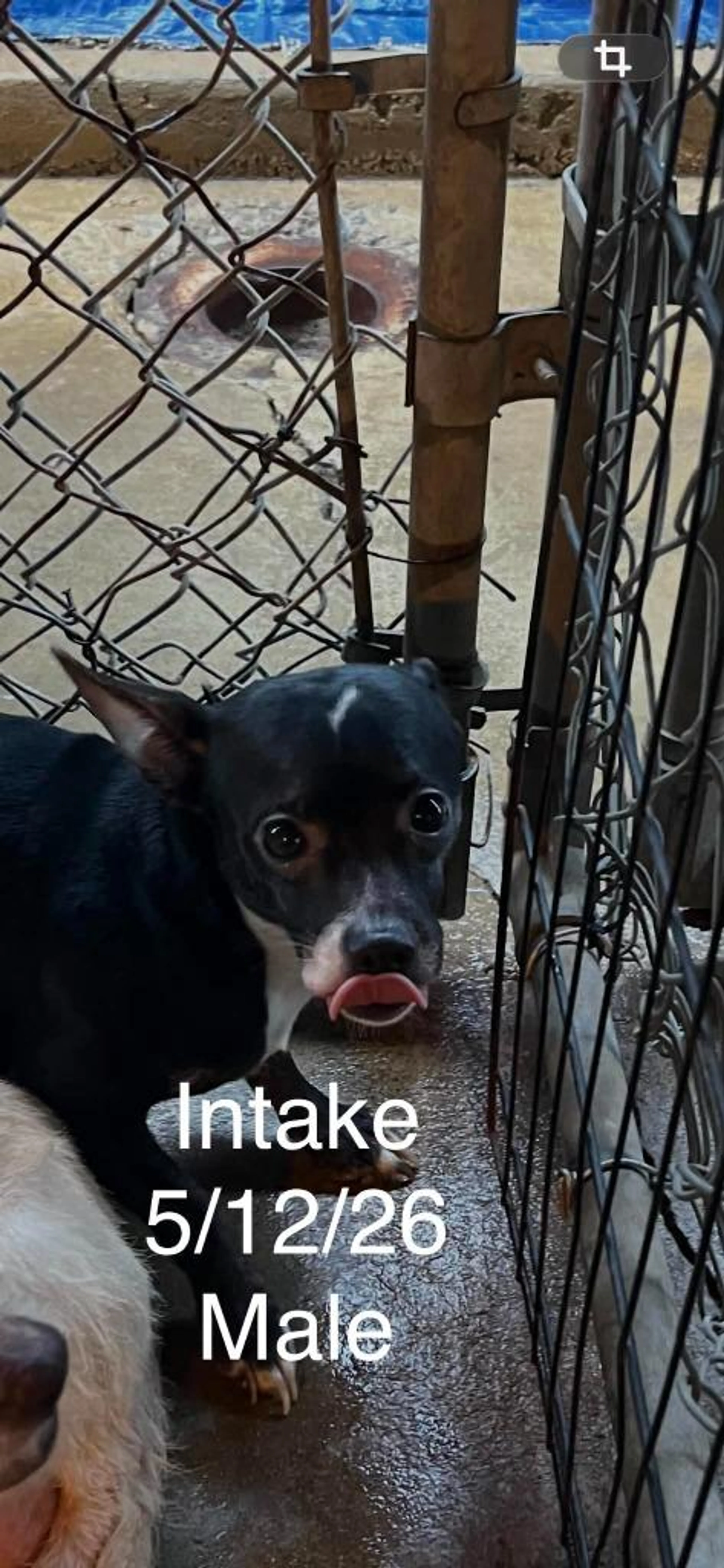 cdn image