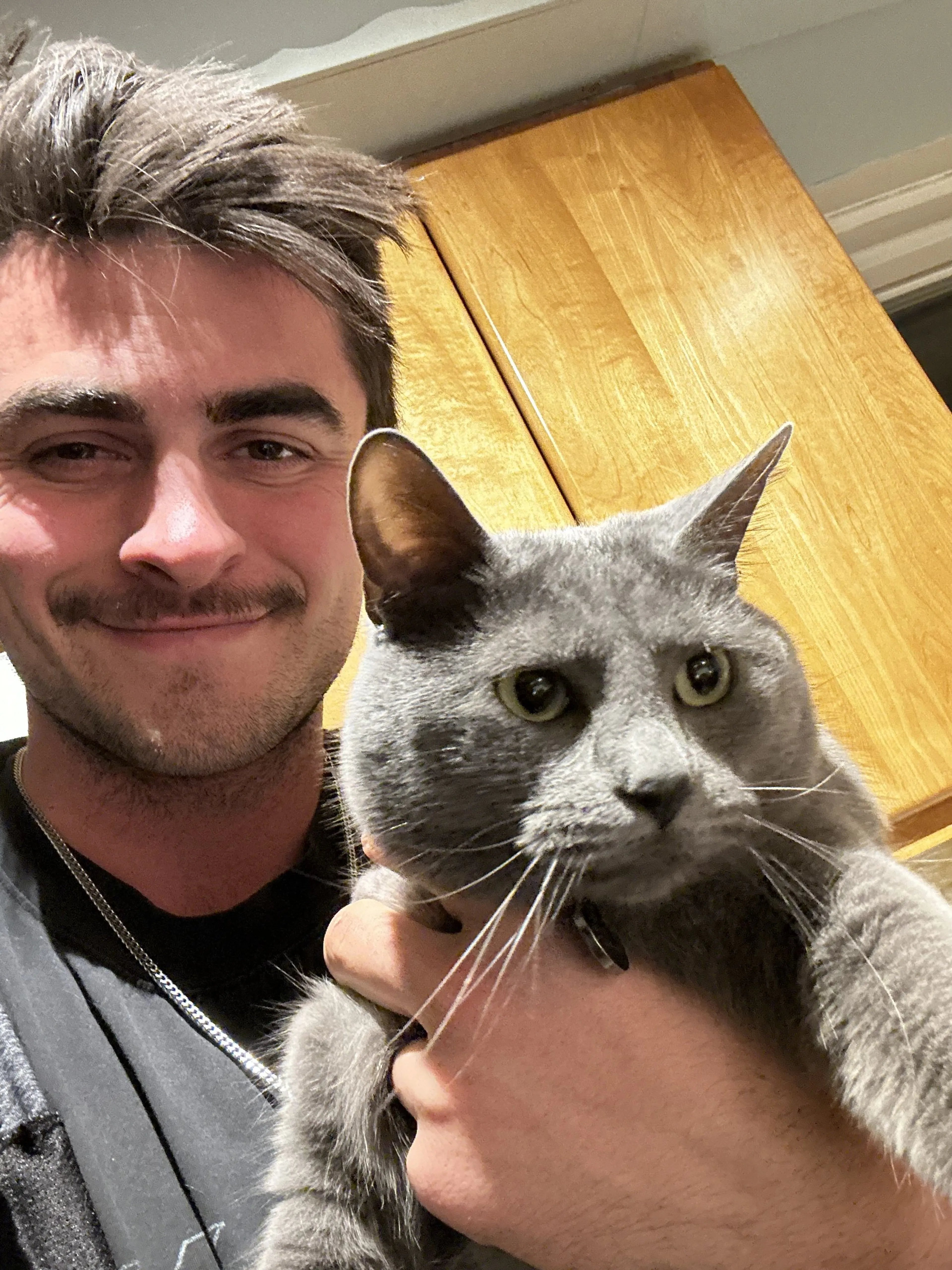 Lost pet-3
