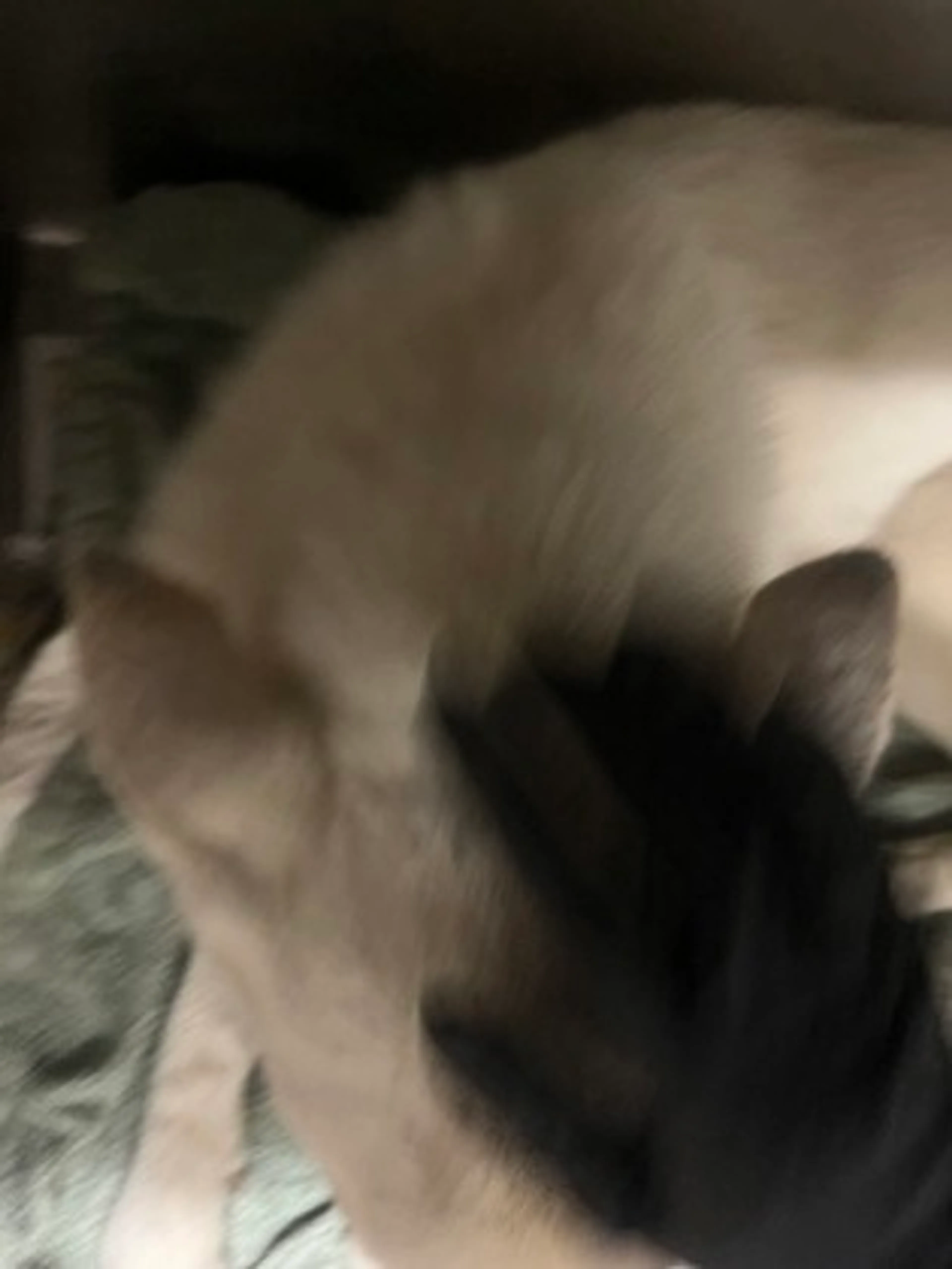 -1