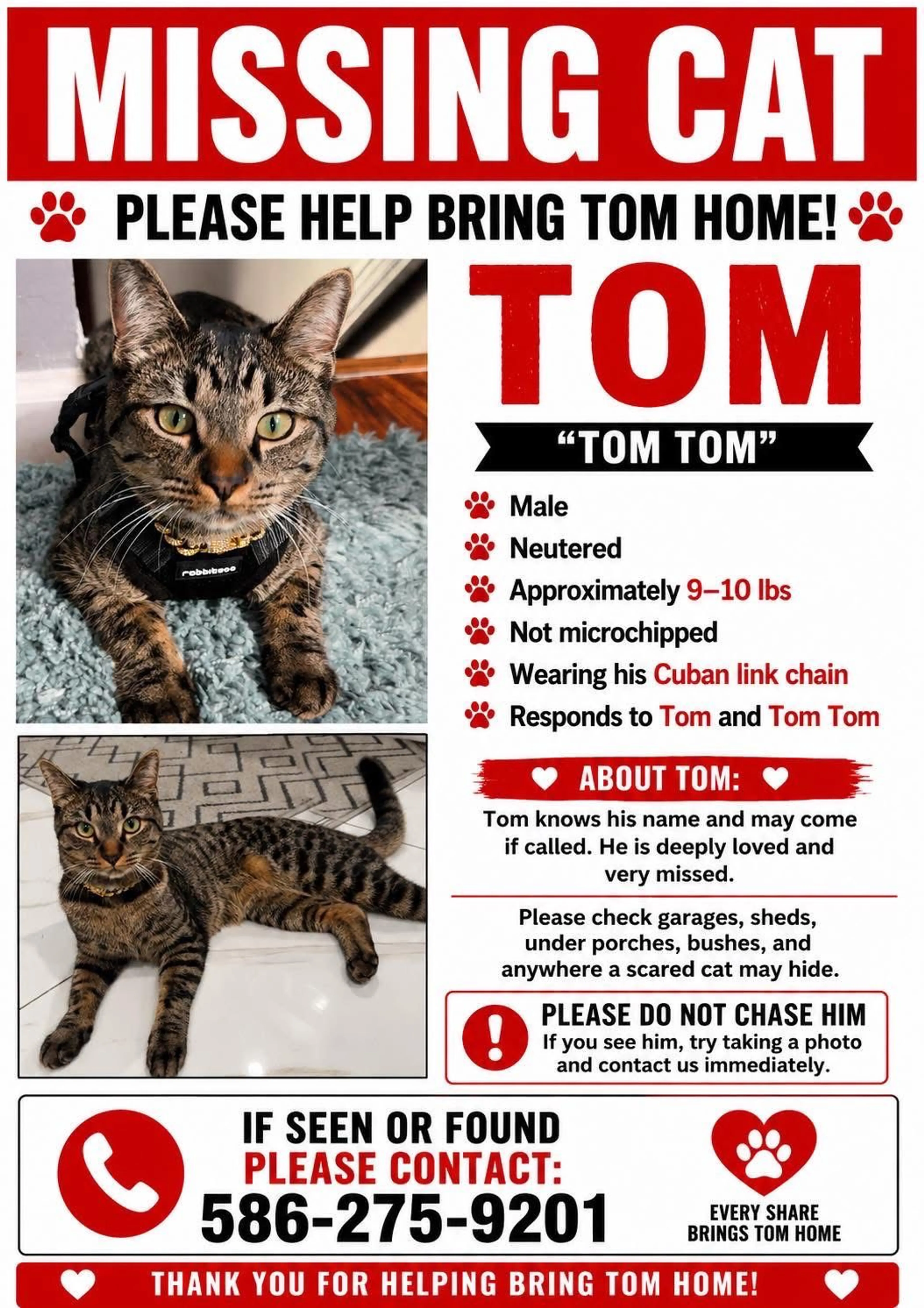 Lost pet