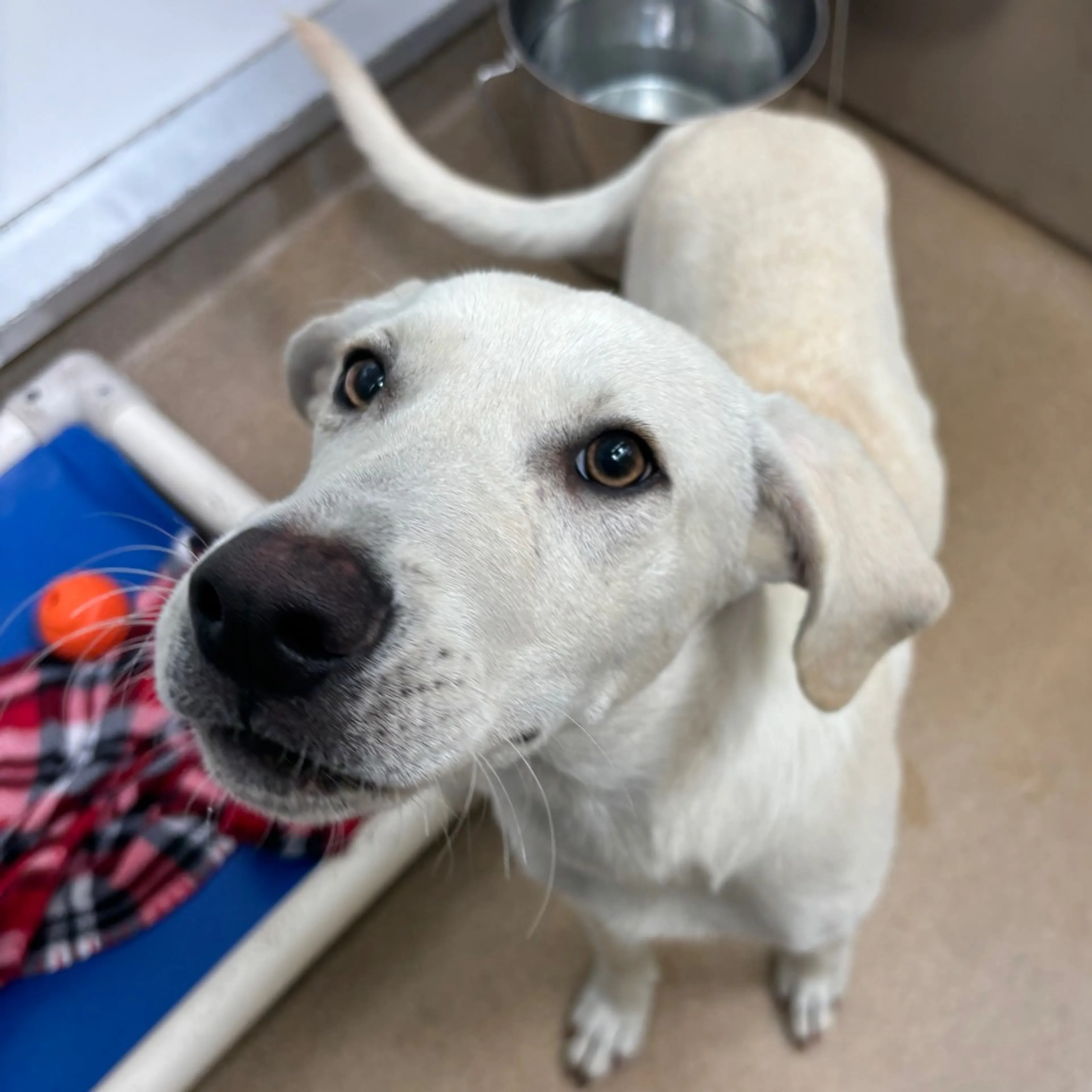 -3