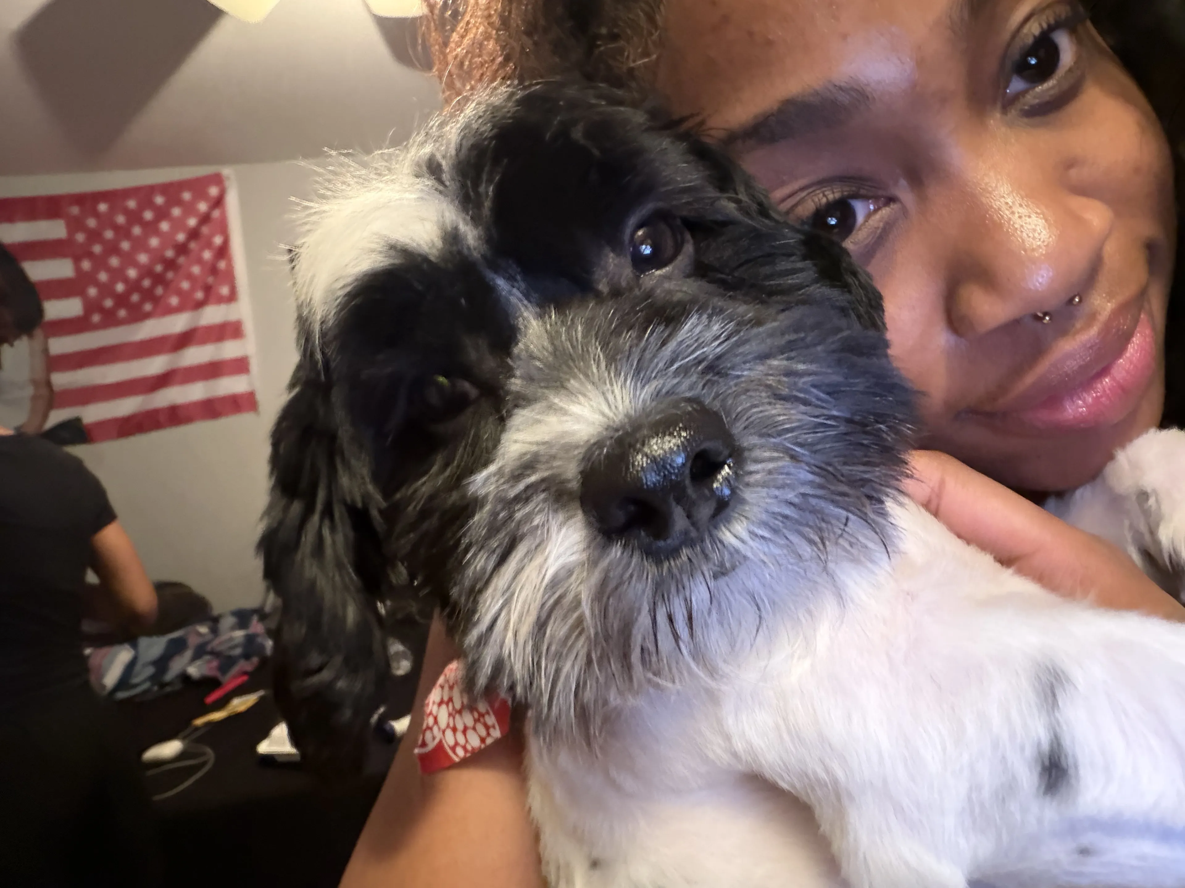 Lost pet