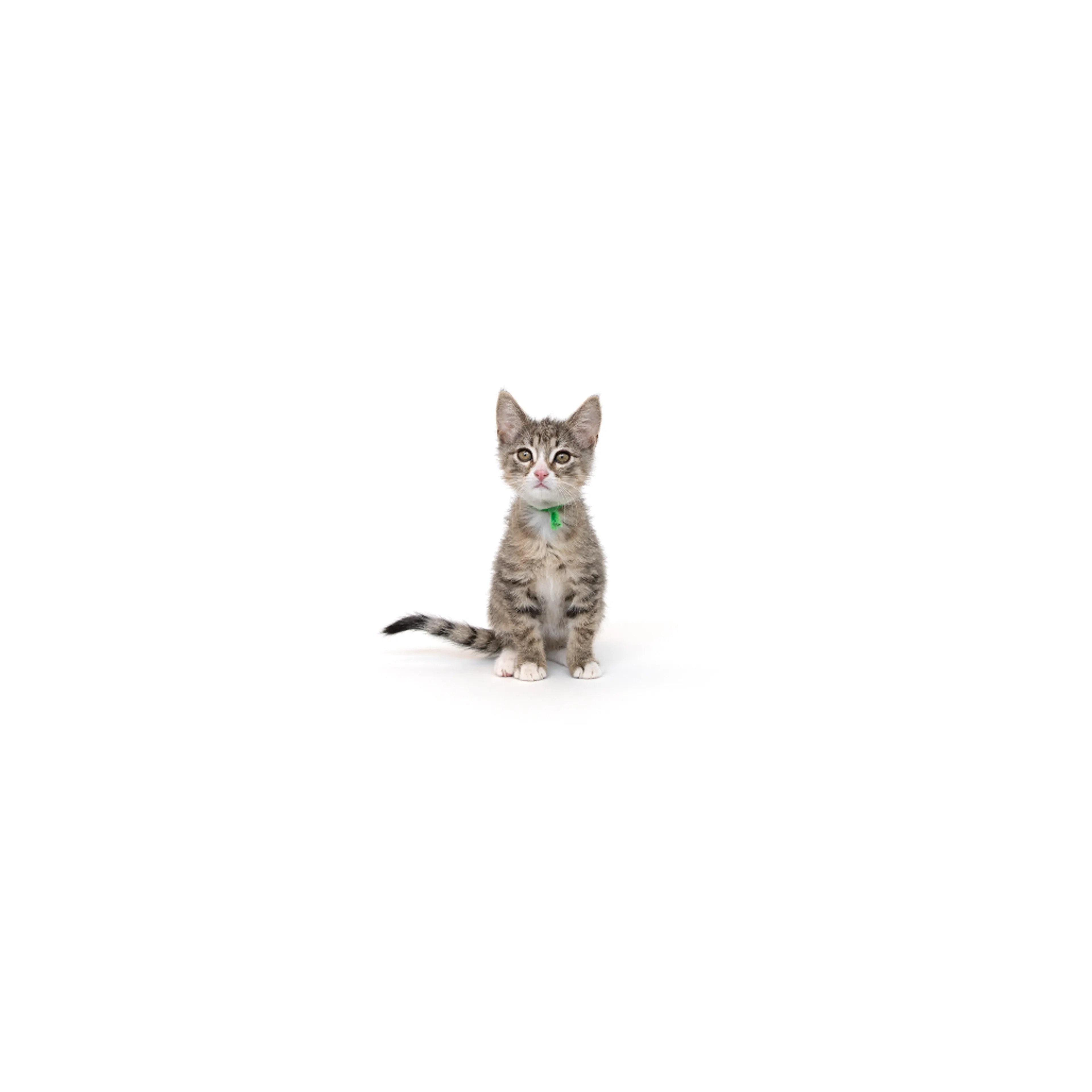 cdn image