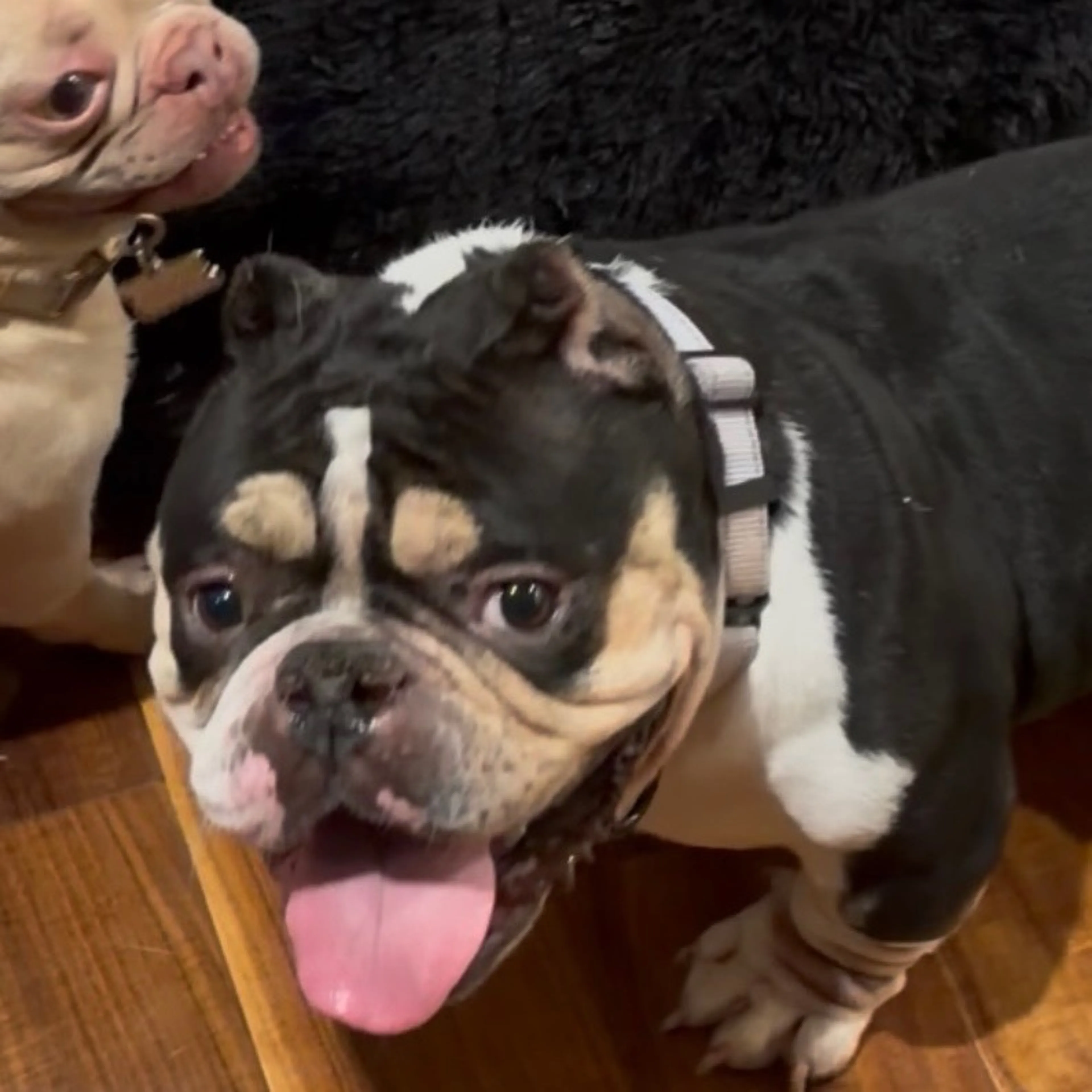 -5