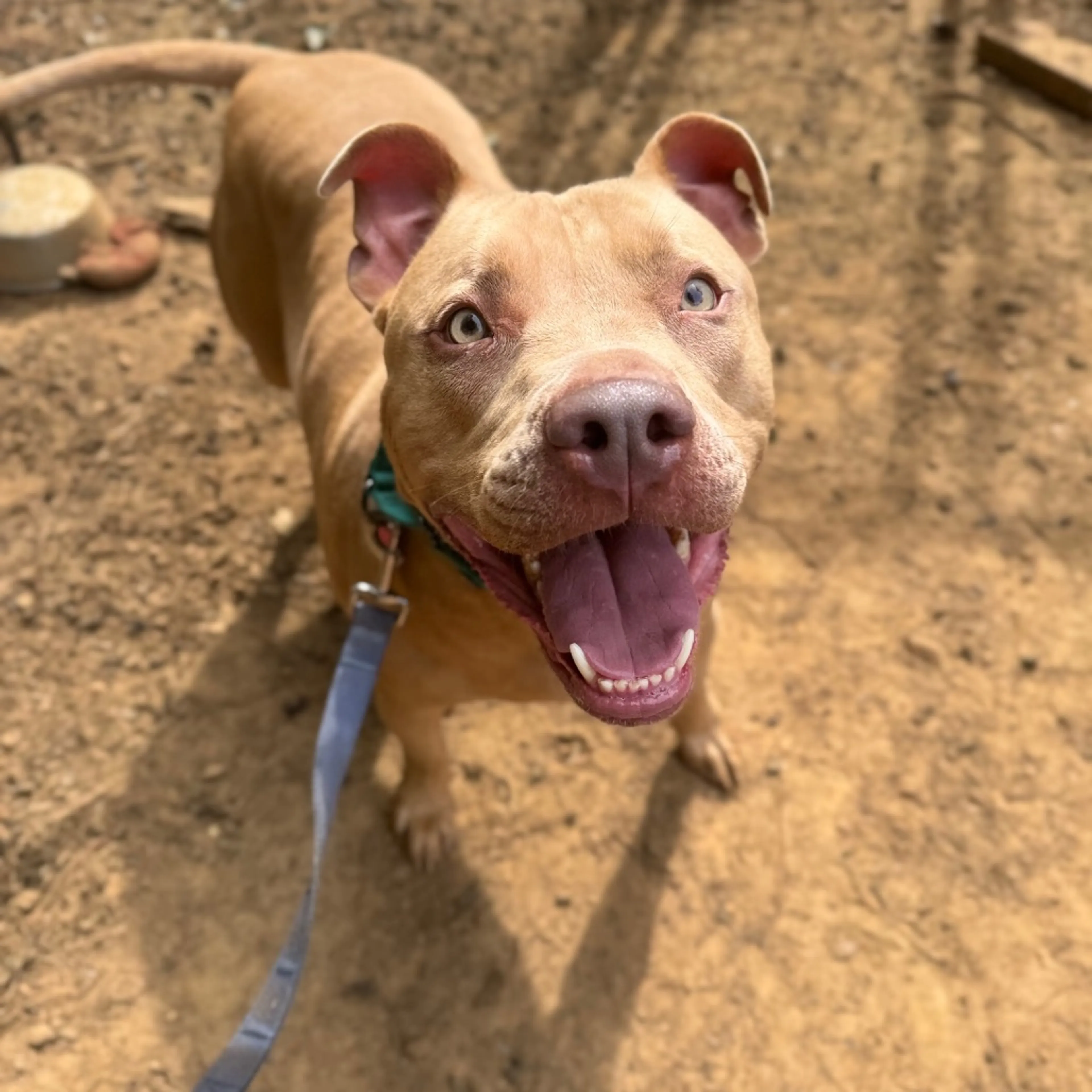 -7