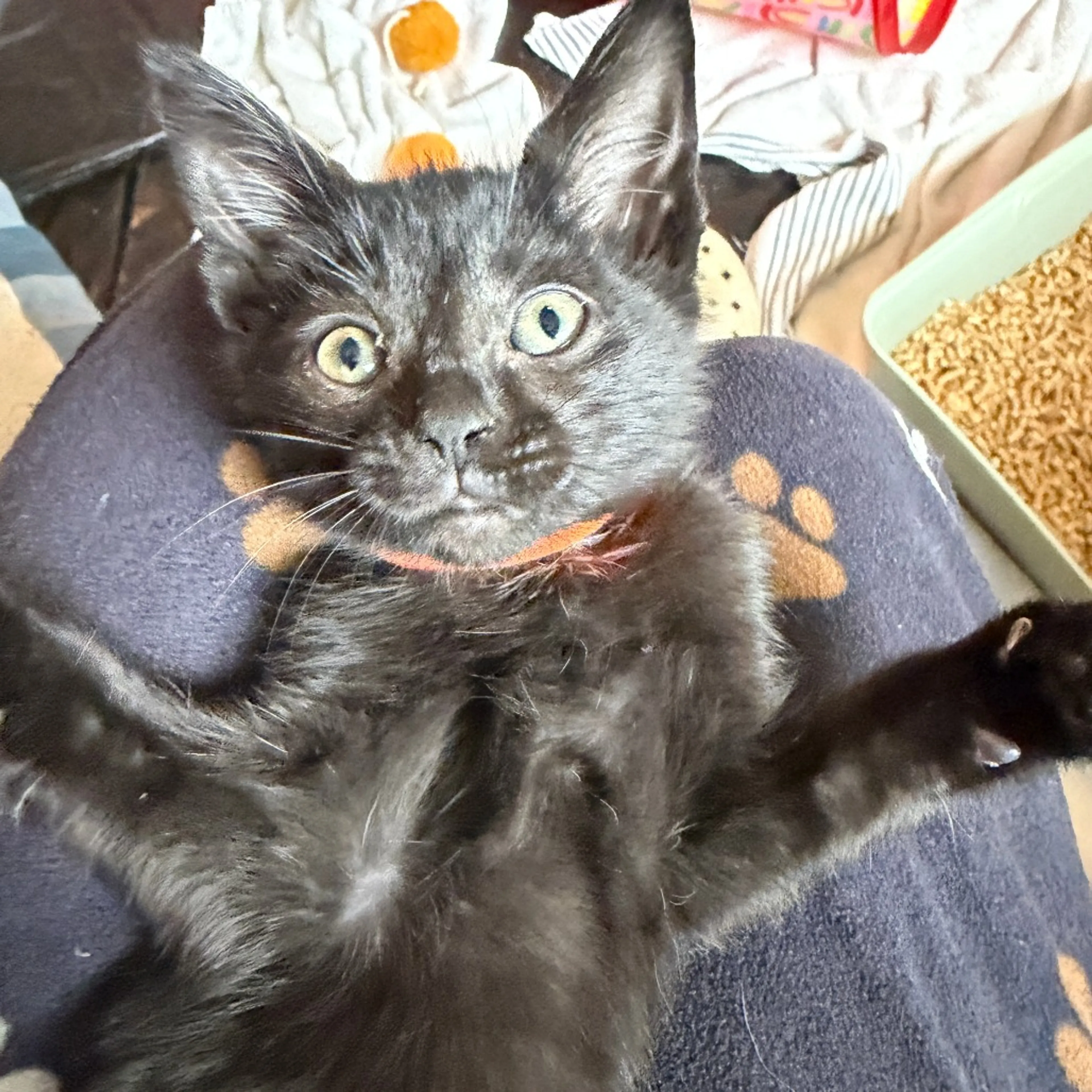 -9