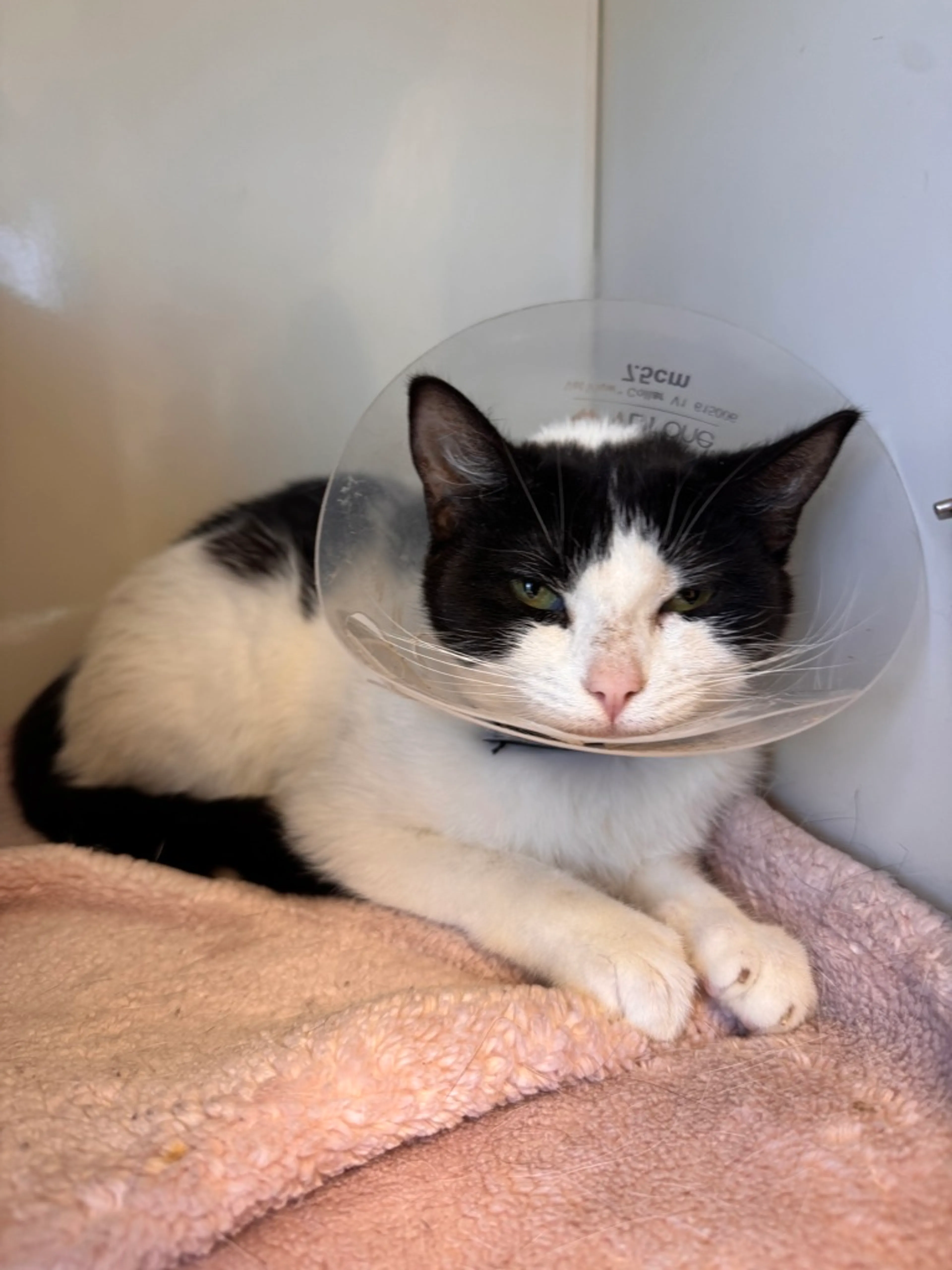 -19