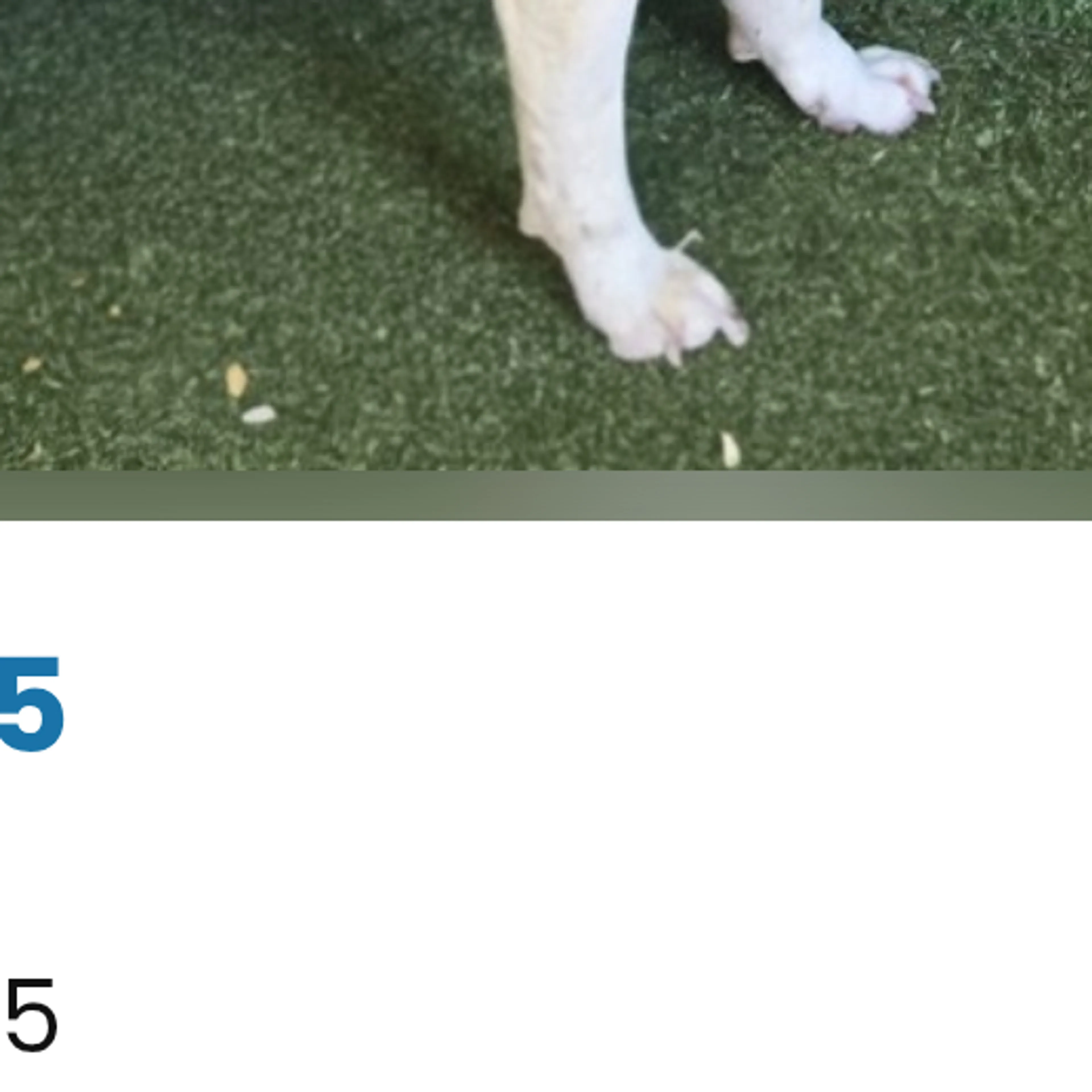 -3