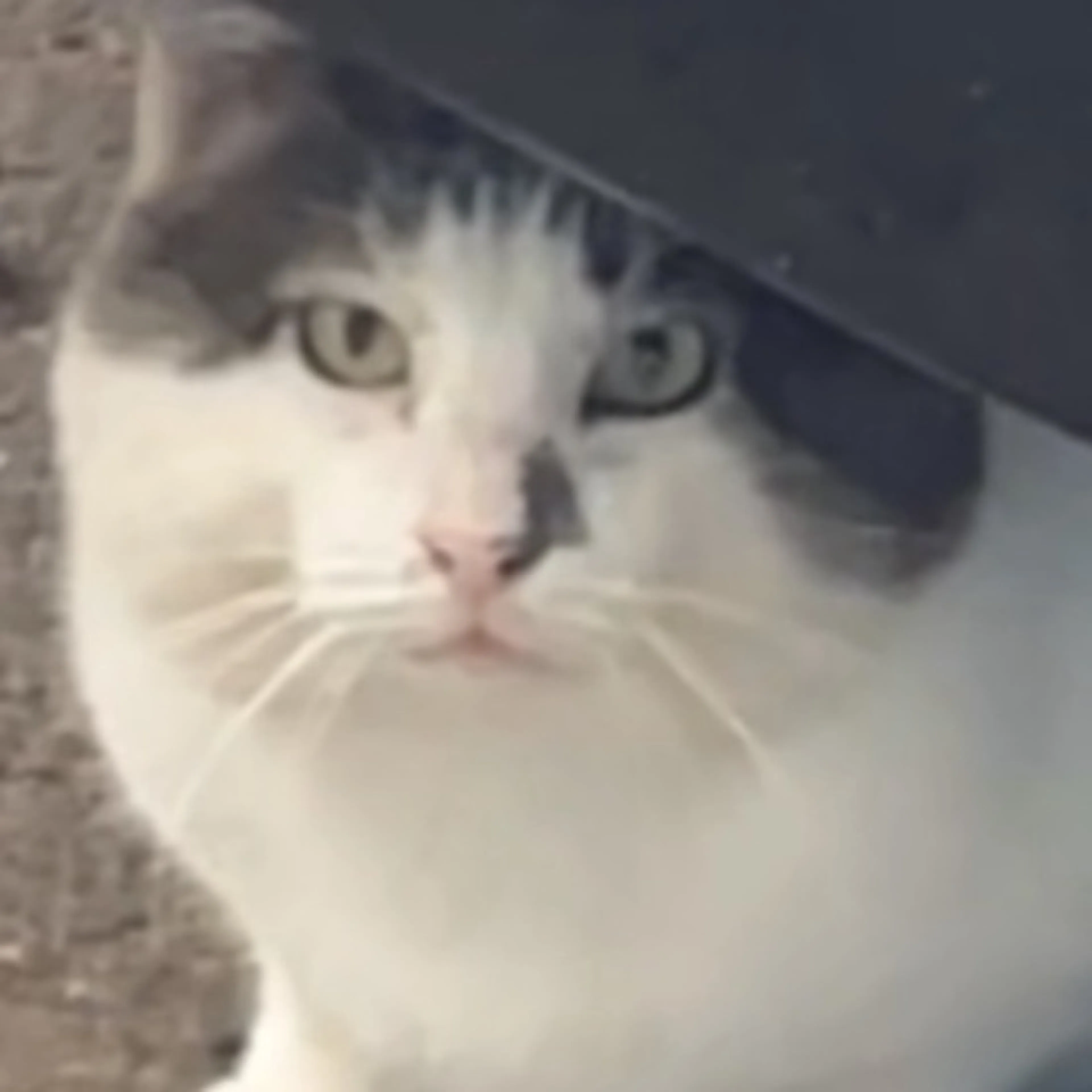-0
