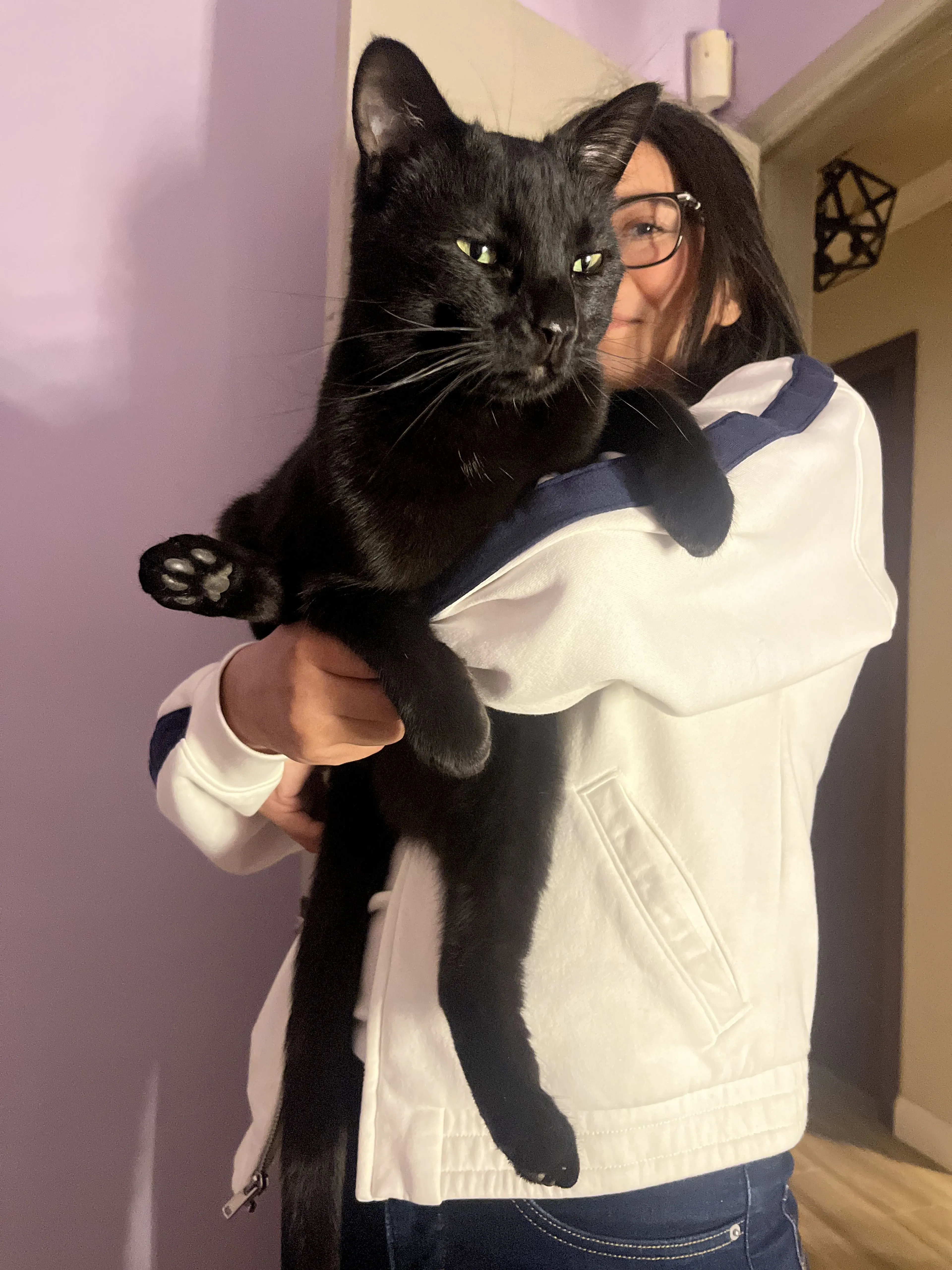 Lost pet-4