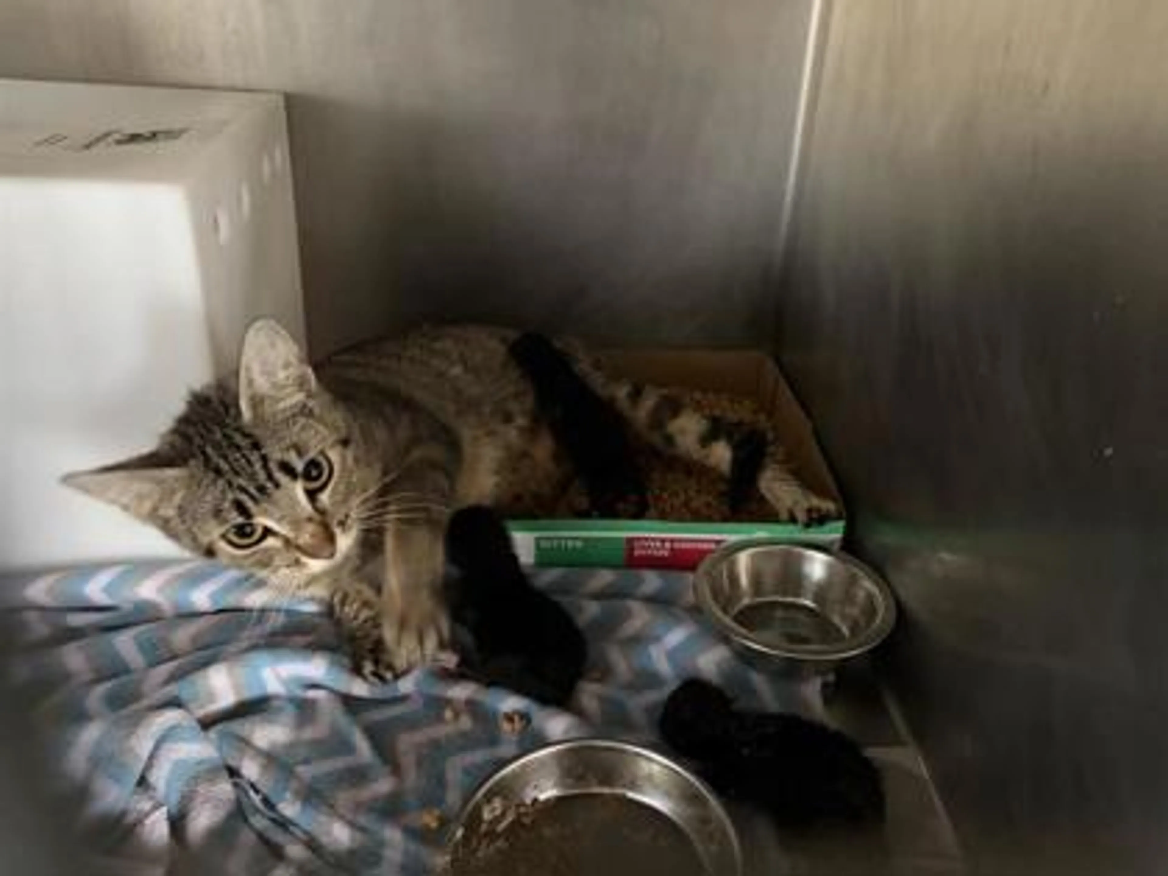 -2